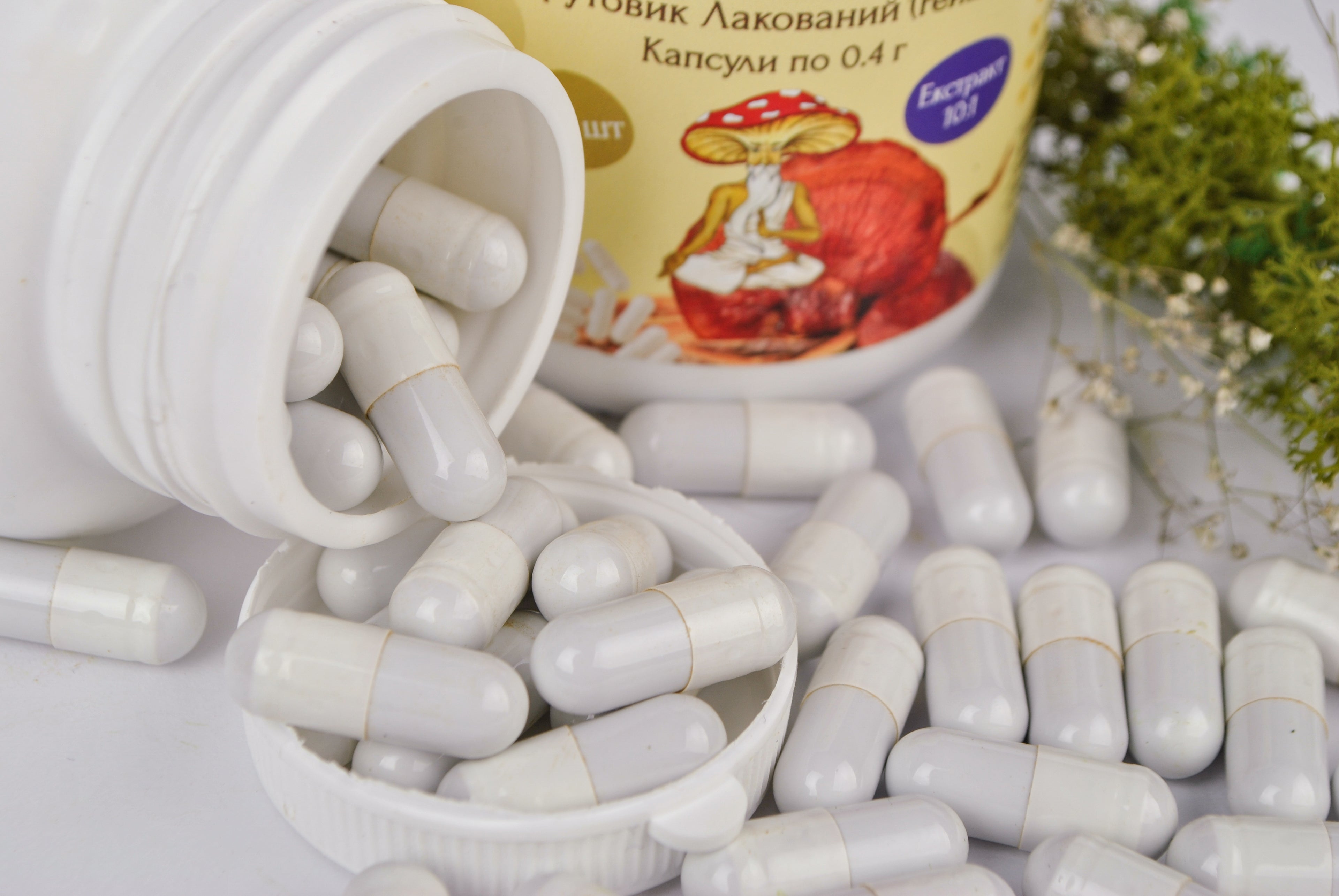 Екстракт Трутовик лакований (Рейші) 10:1 у капсулах по 0.4 г