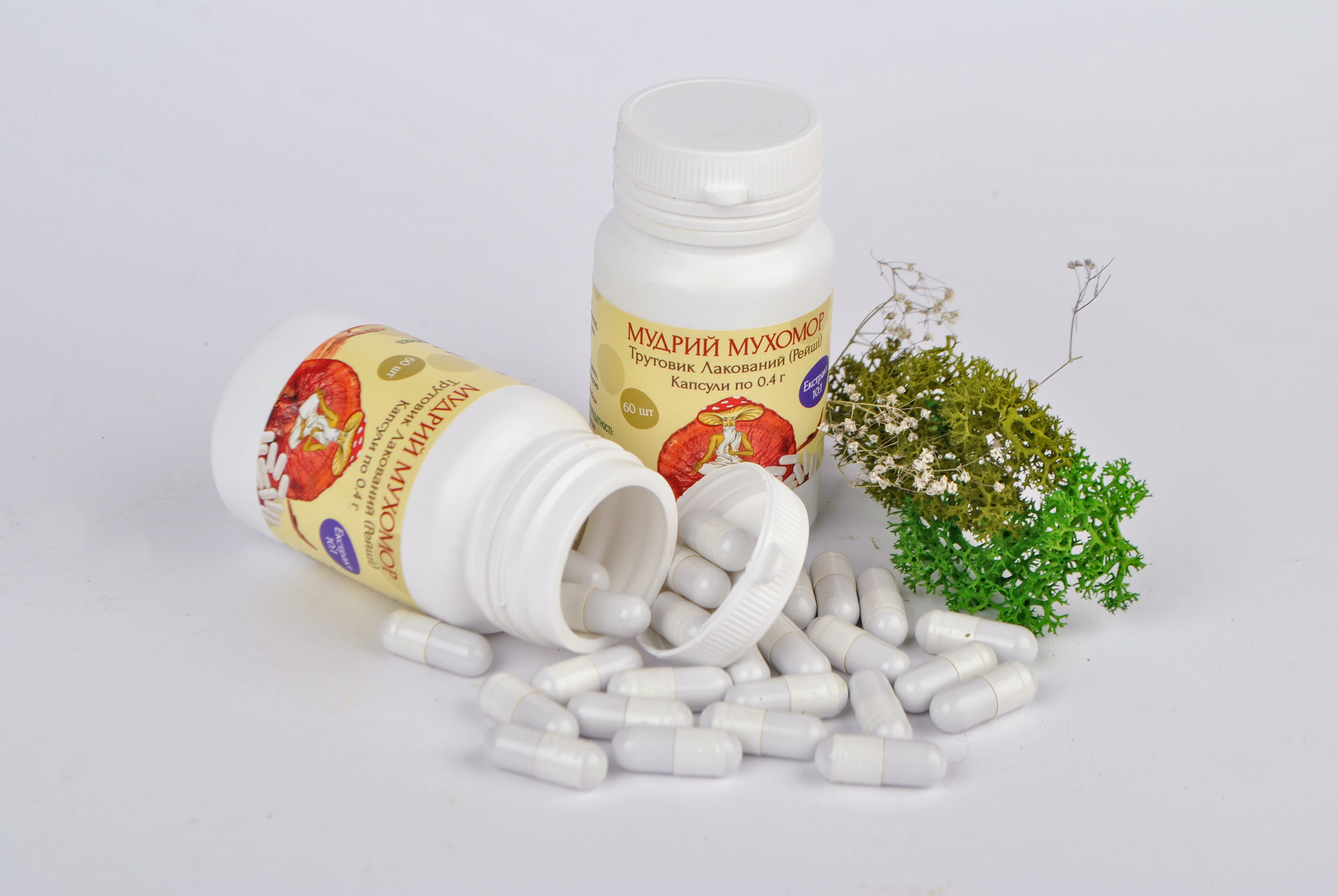 Екстракт Трутовик лакований (Рейші) 10:1 у капсулах по 0.4 г