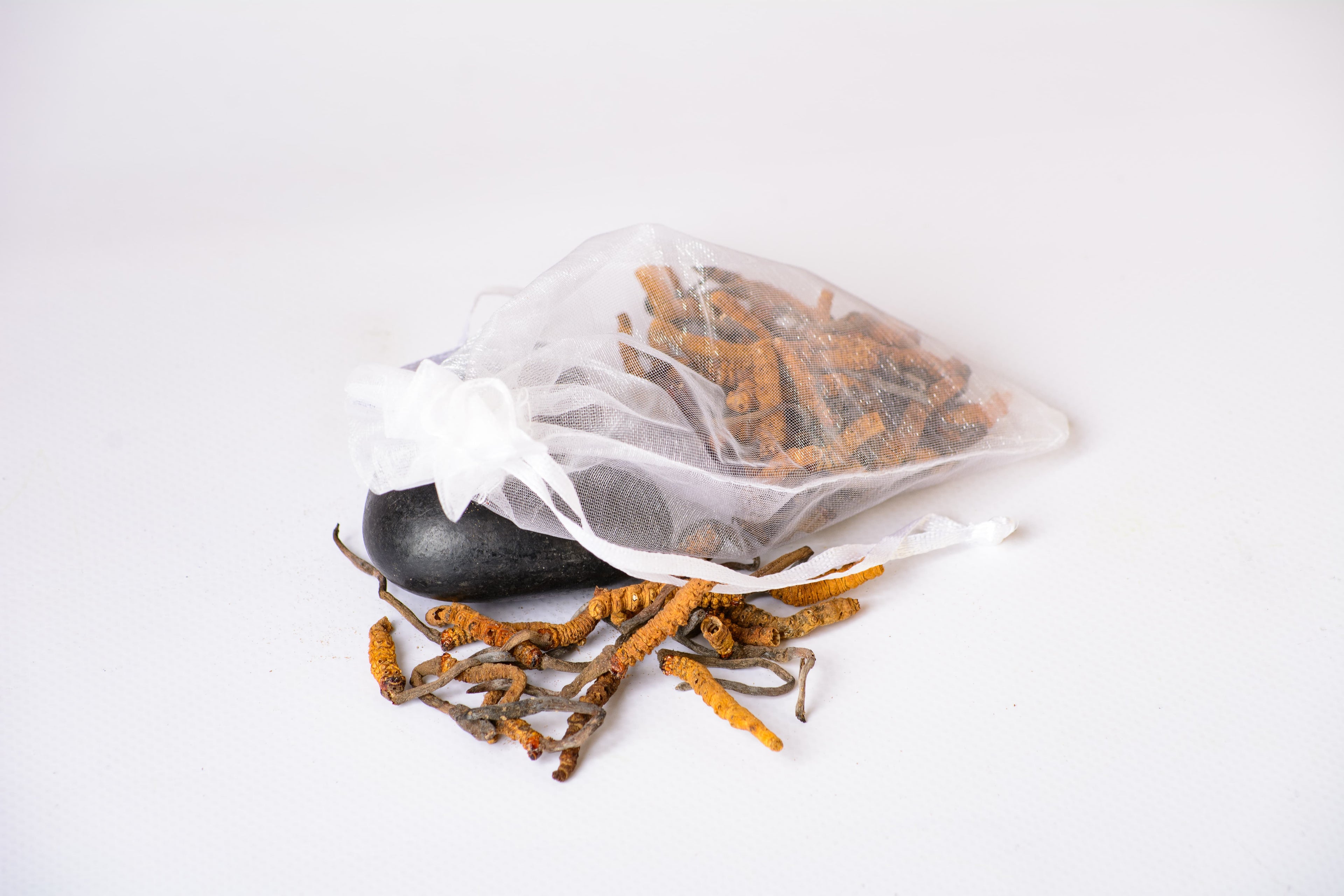 Цілі плодові тіла Кордицепса китайського Непал