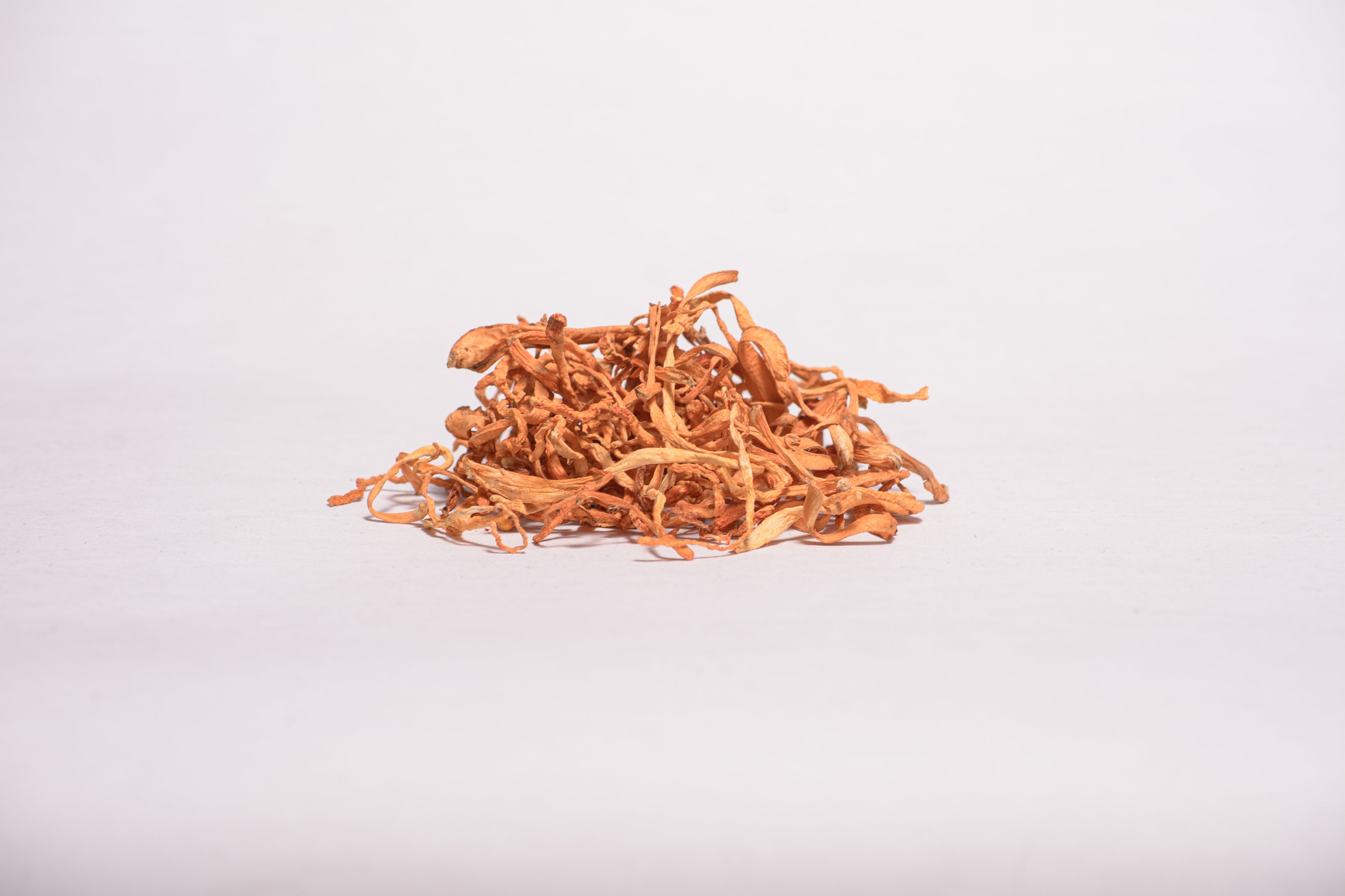 Цілі плодові тіла Кордицепса військового