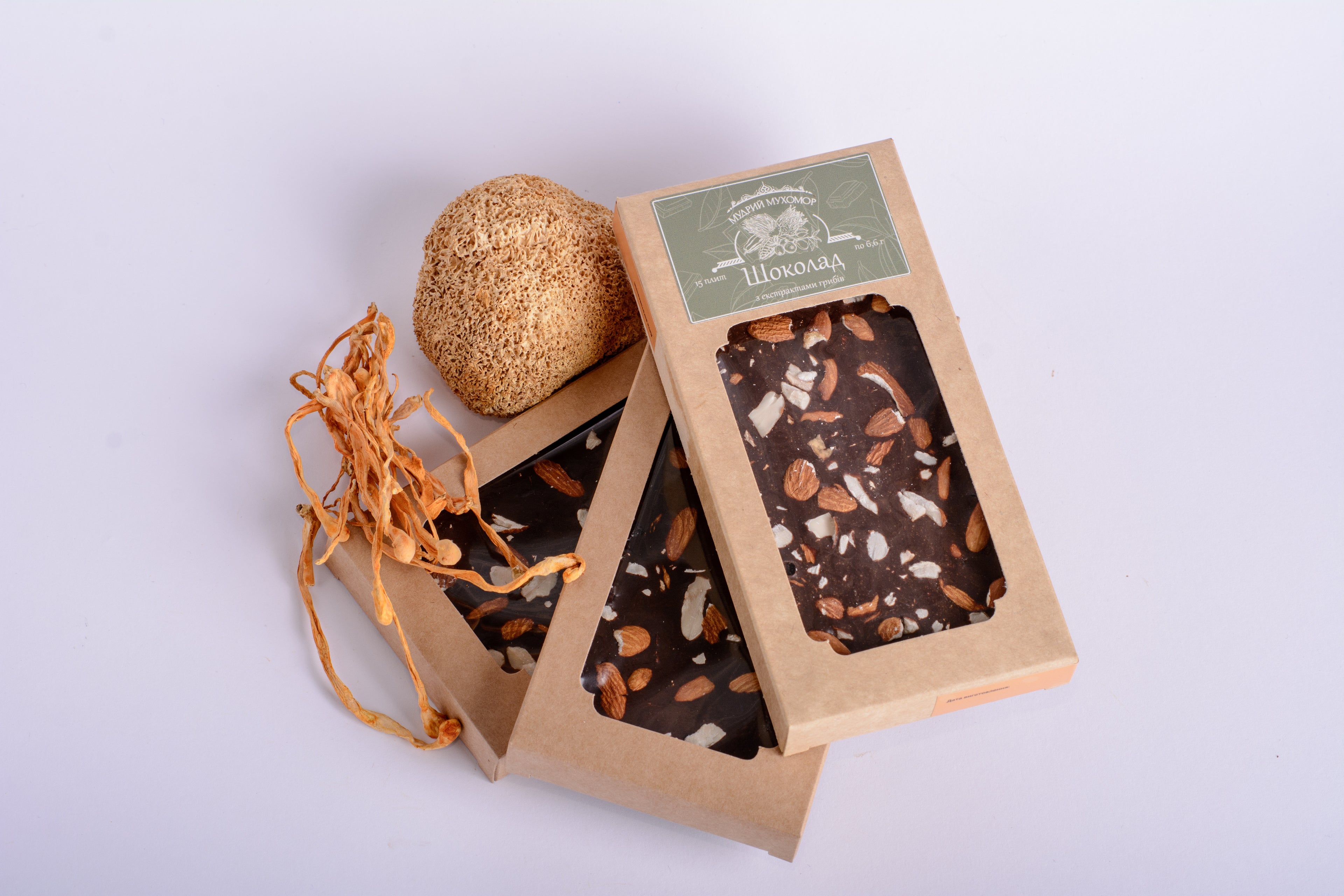 Шоколад грибний з екстрактами Їжовика гребінчастого та Кордицепса