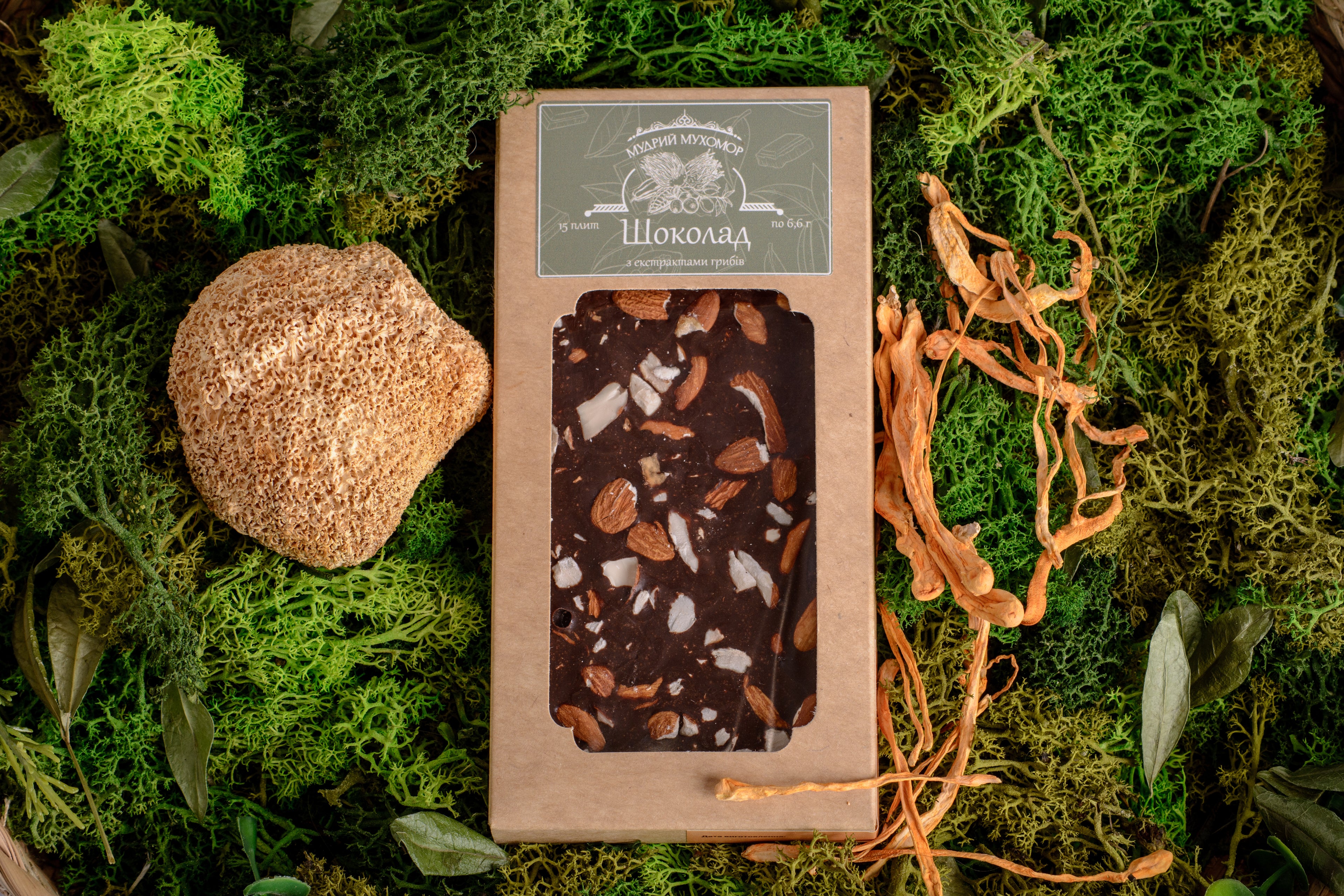 Шоколад грибний з екстрактами Їжовика гребінчастого та Кордицепса