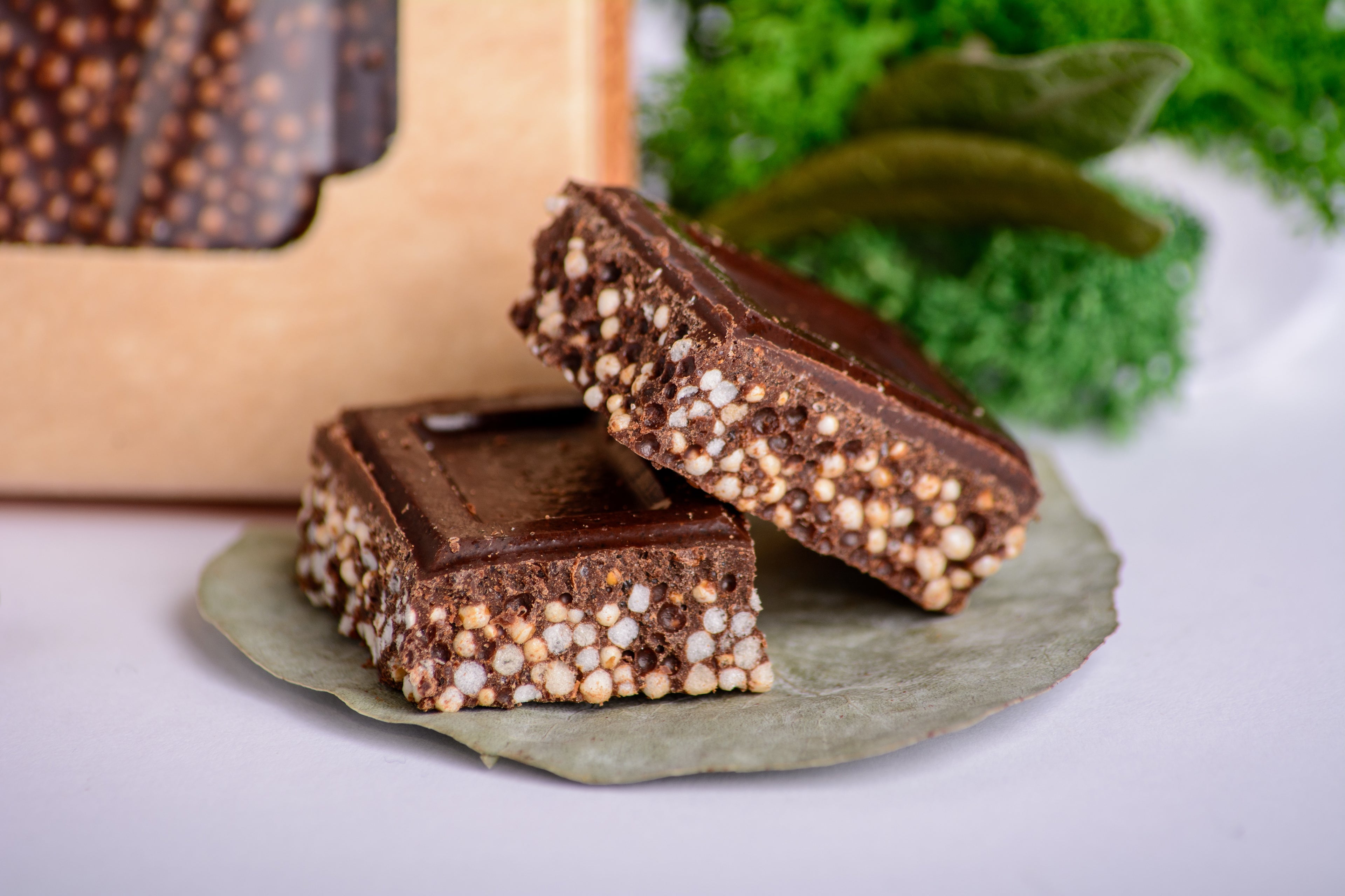 Шоколад грибний з екстрактами Рейші та Траметеса