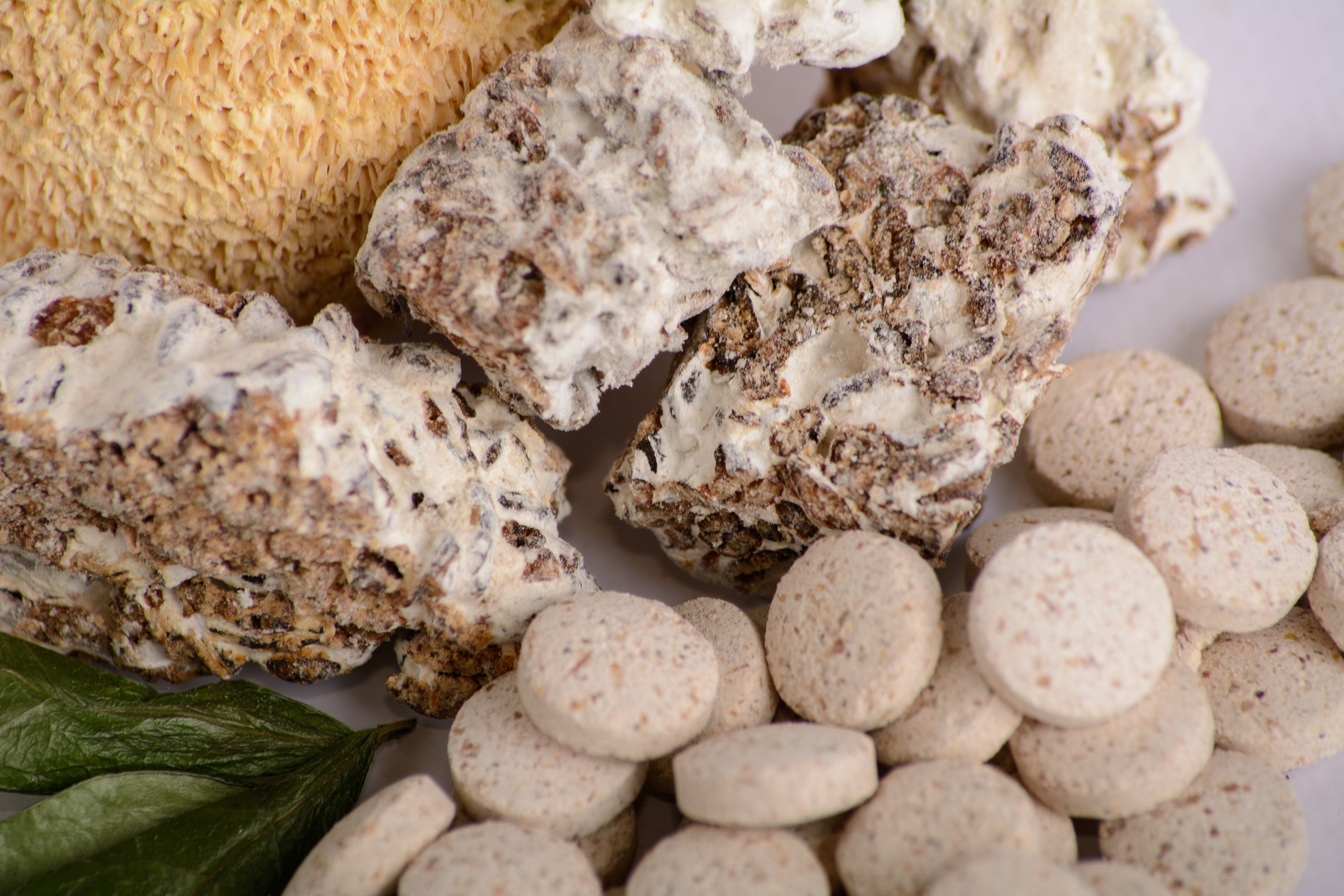 Їжовик гребінчаcтий міцелій в пігулках по 0.4 г