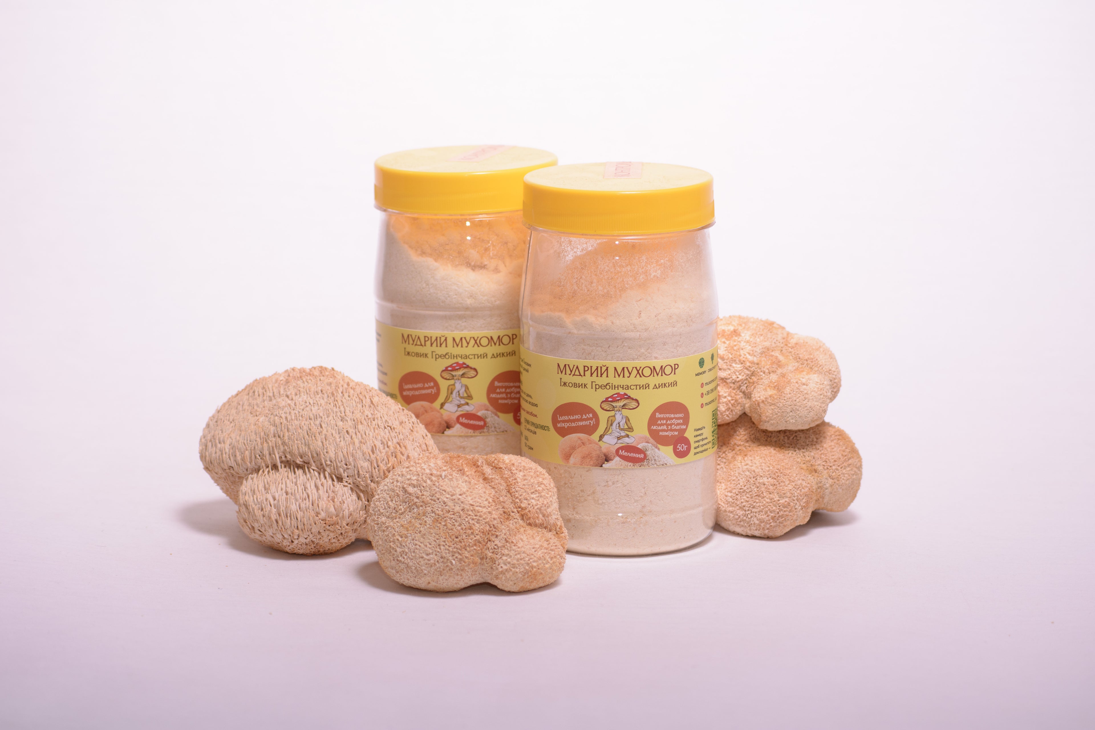 Мелені плодові тіла Їжовика гребінчастого