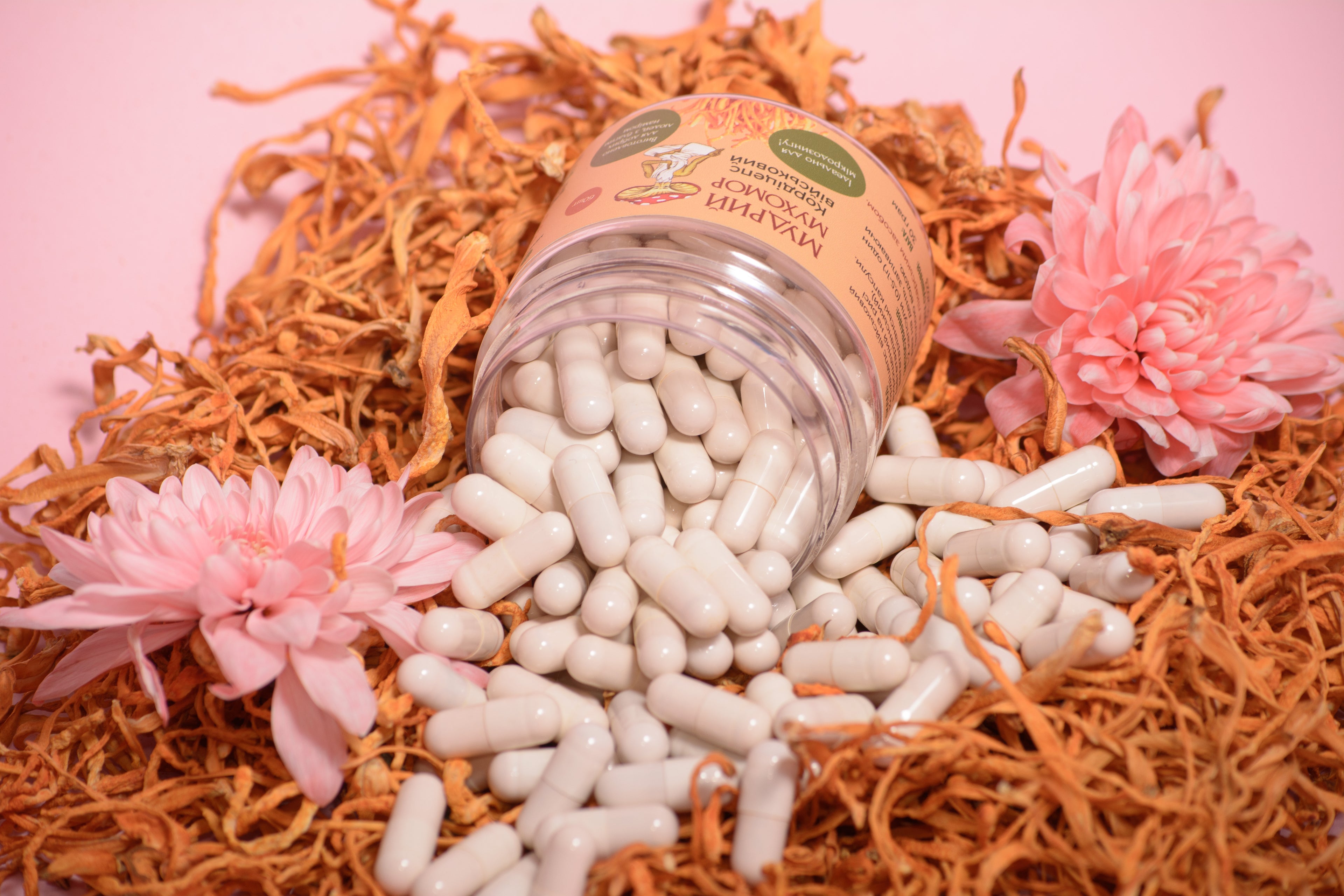 Кордицепс військовий у капсулах по 0.5 г