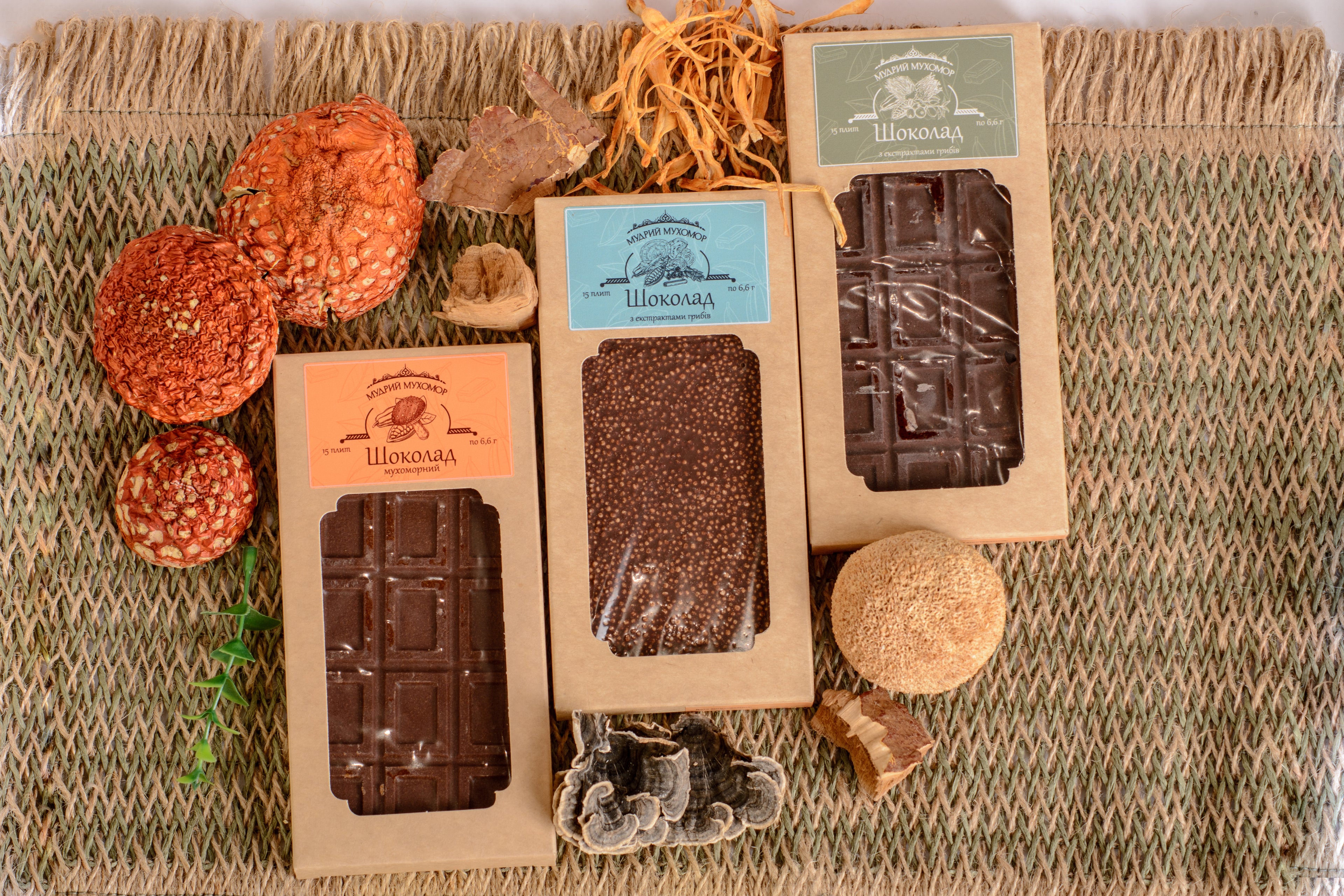 Шоколад грибний з екстрактами Рейші та Траметеса