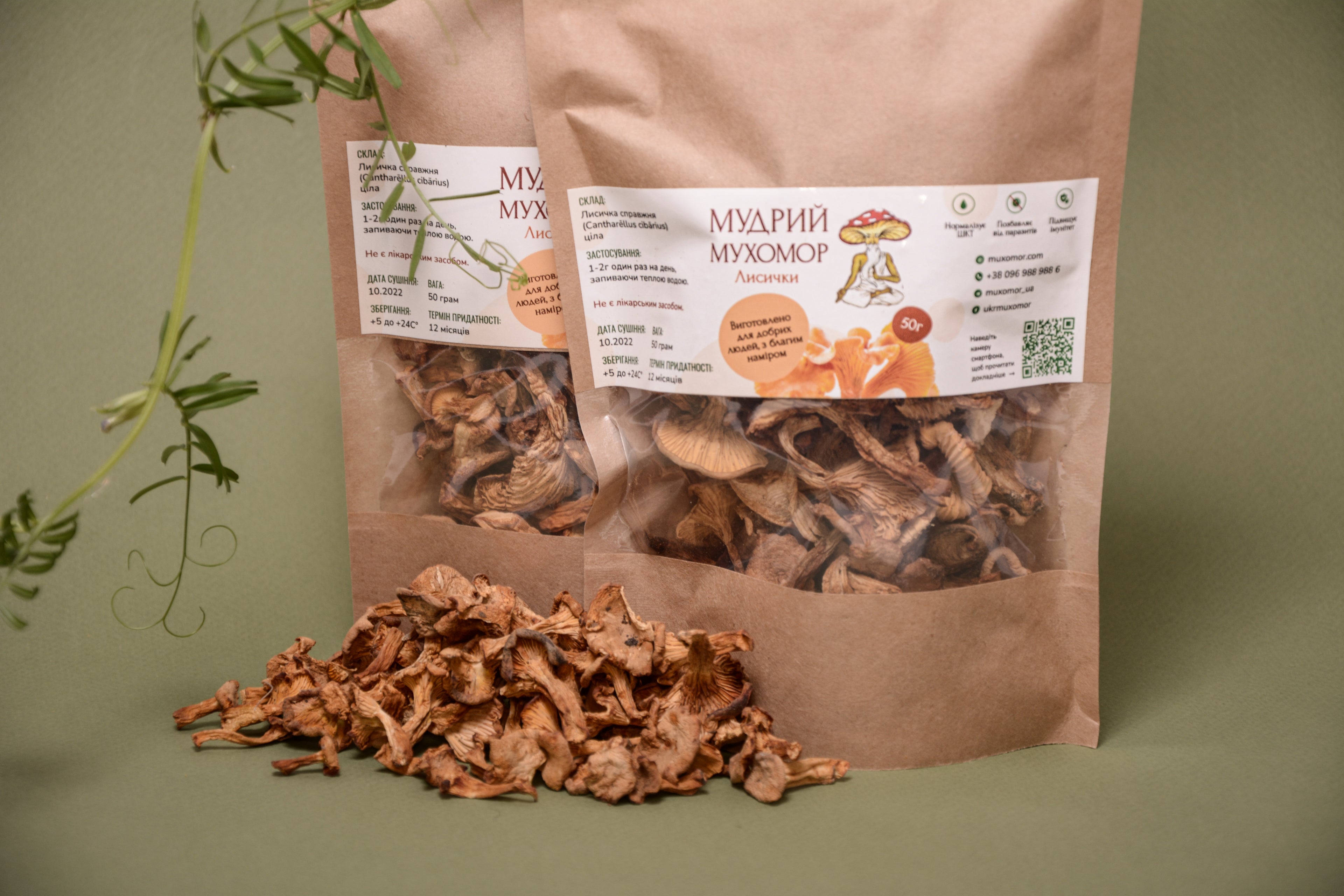 Цілі плодові тіла Лисички справжньої