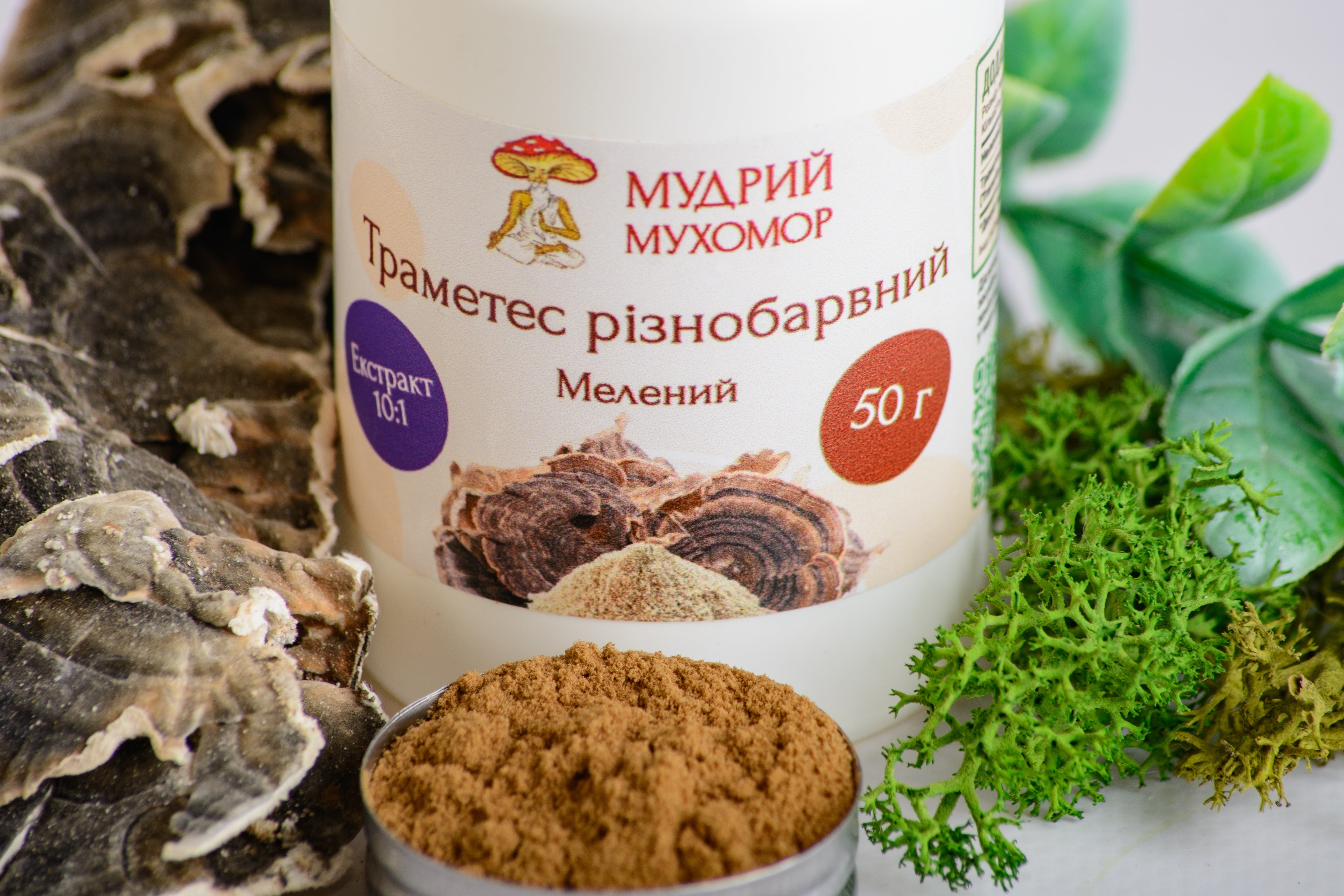 Екстракт Траметеса різнобарвного 10:1 мелений