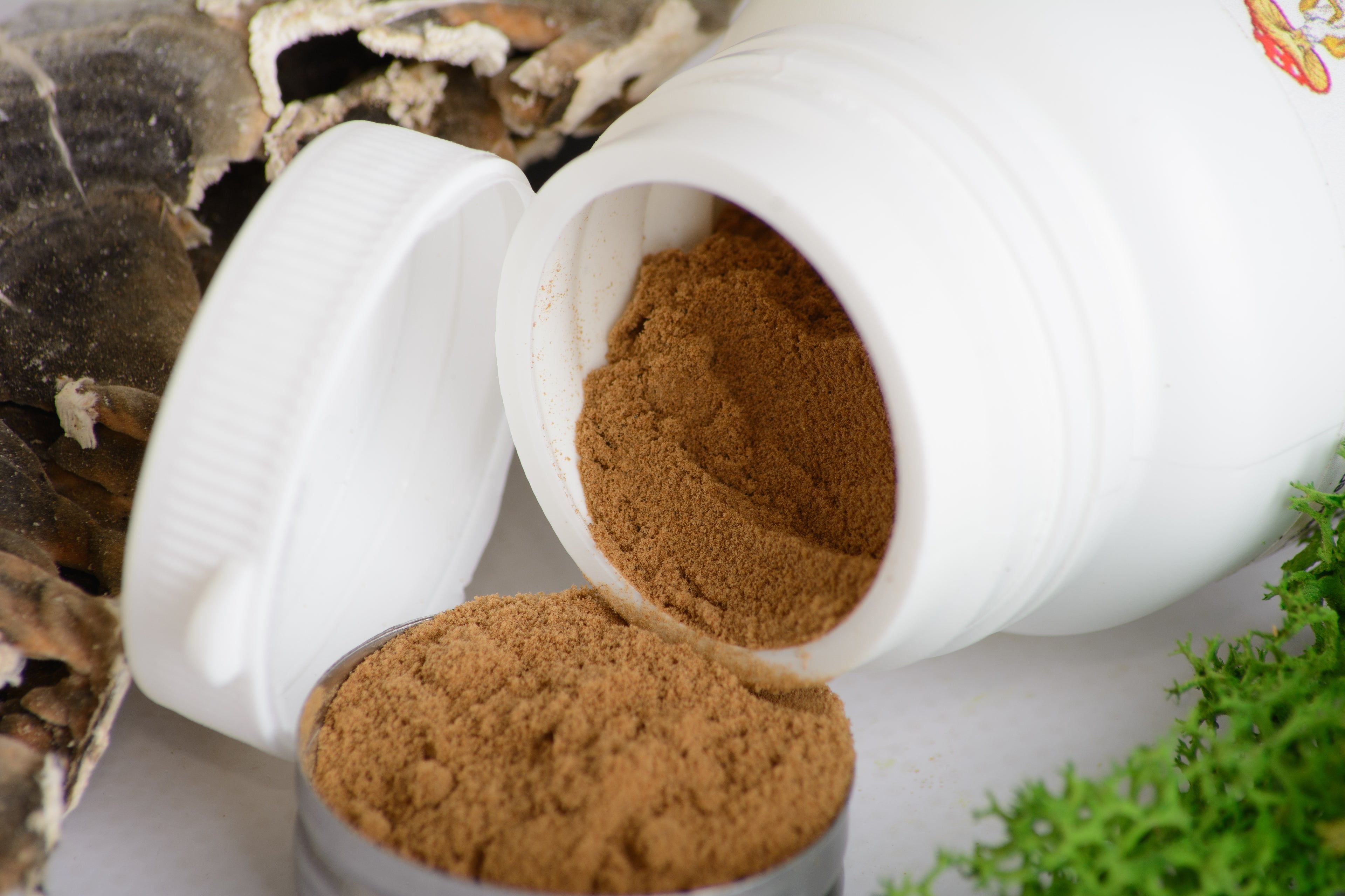 Екстракт Траметеса різнобарвного 10:1 мелений