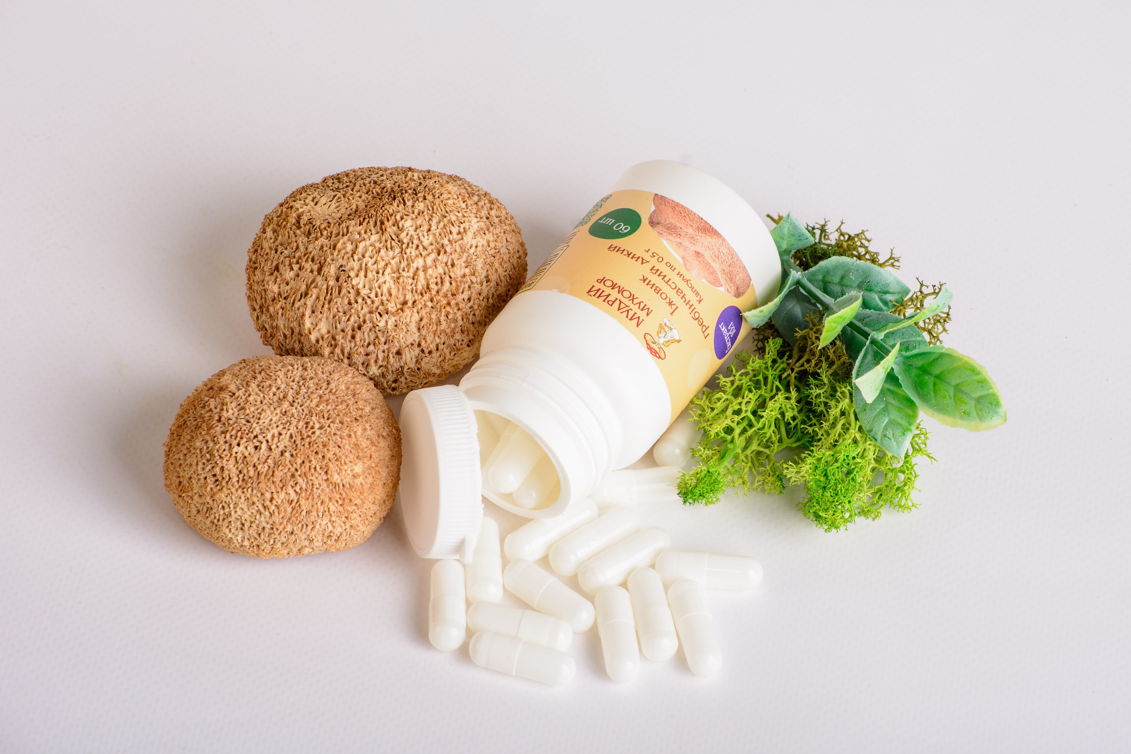 Екстракт Їжовика гребінчастого 10:1 у капсулах по 0.5 г