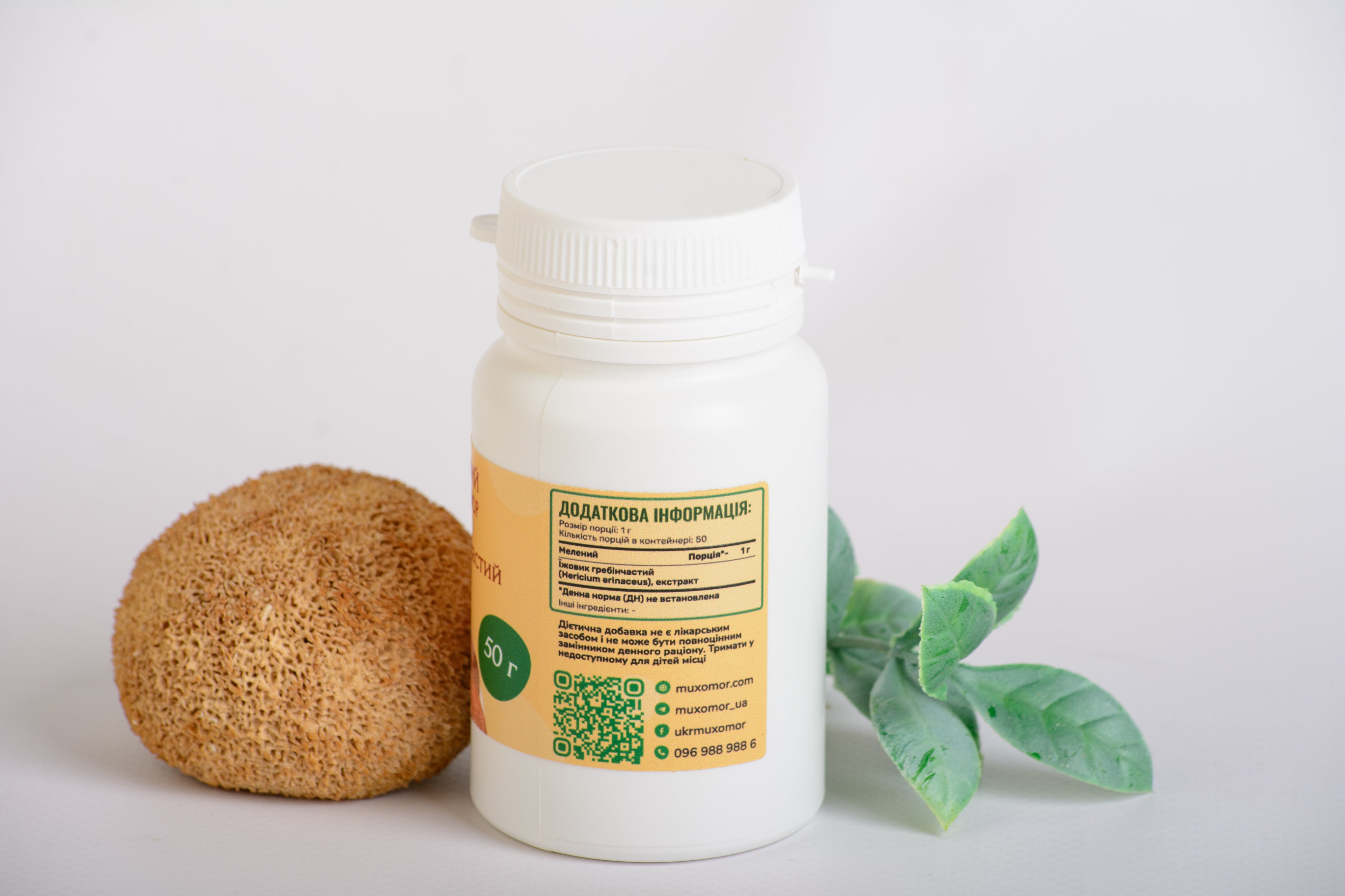 Екстракт Їжовика гребінчастого 10:1 мелений