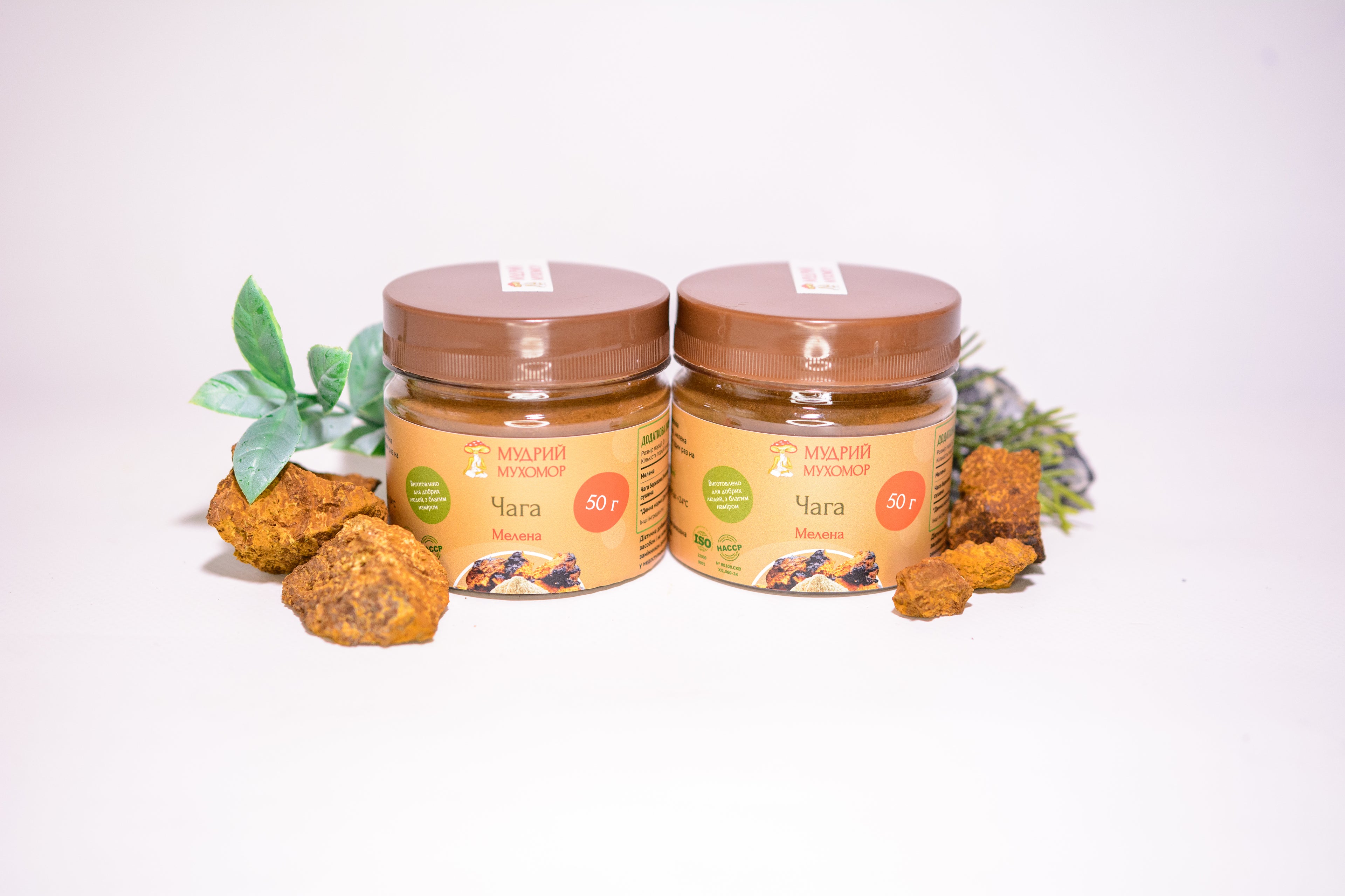 Березова Чага мелена