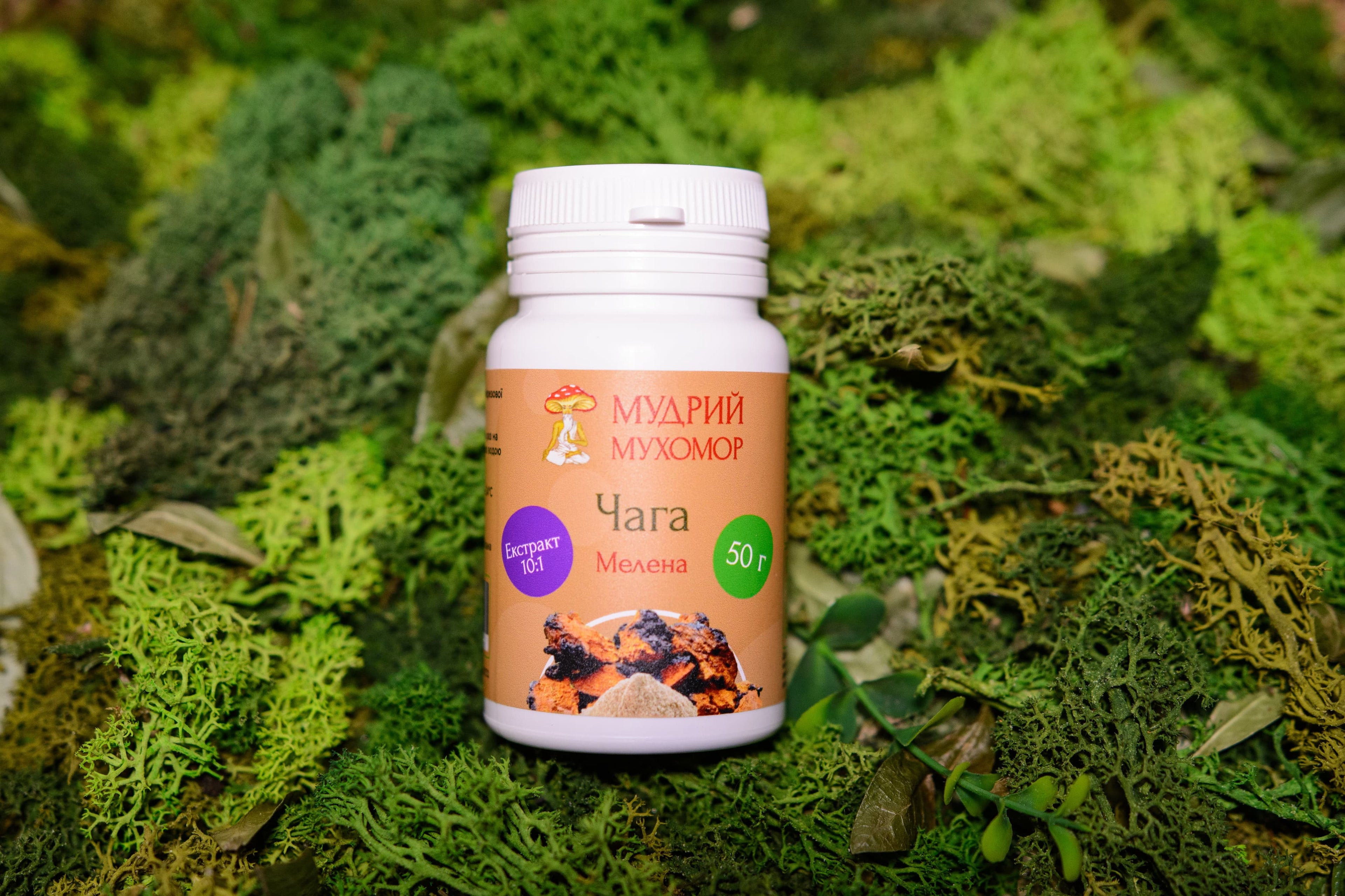 Екстракт березової Чаги 10:1 мелений