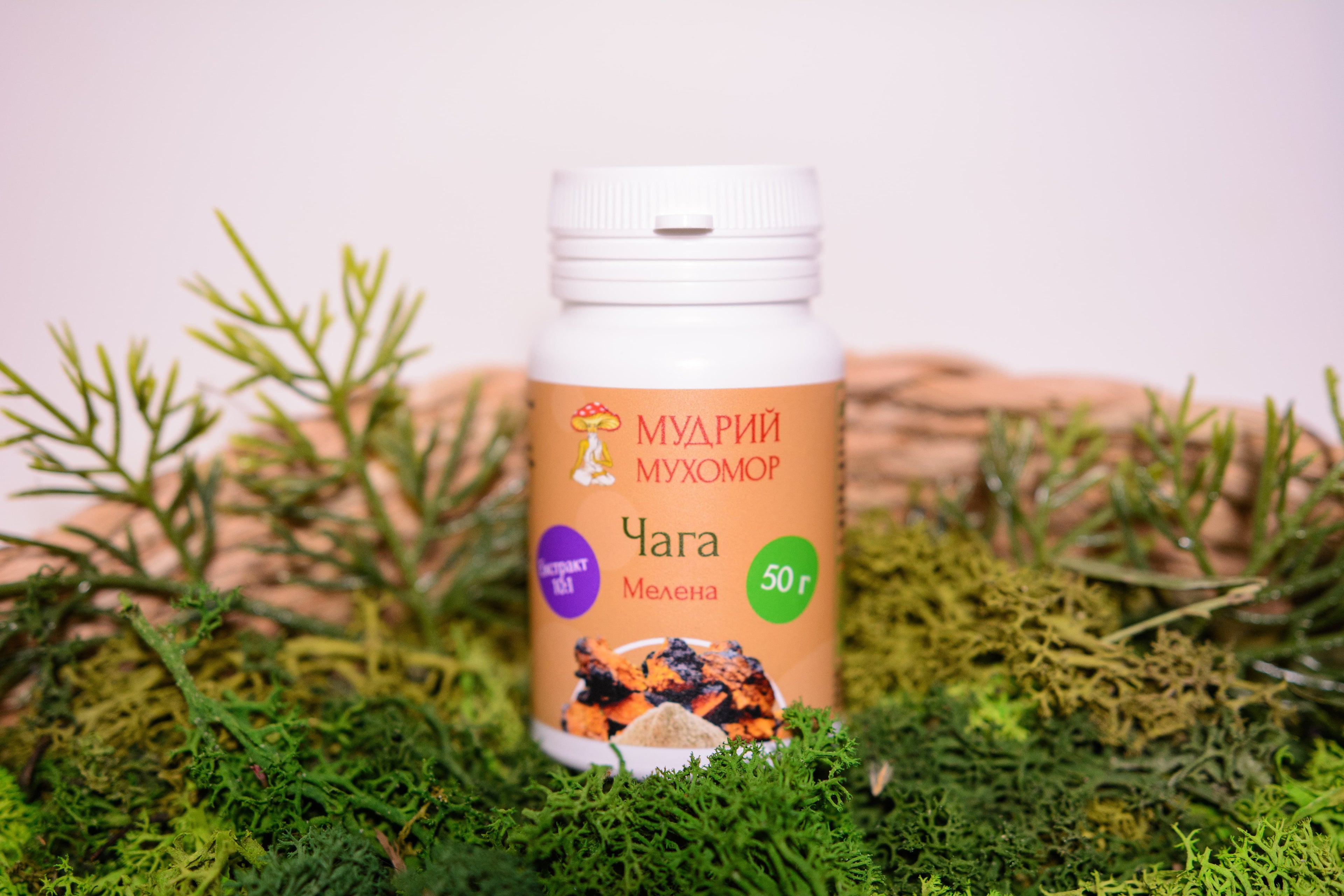 Екстракт березової Чаги 10:1 мелений