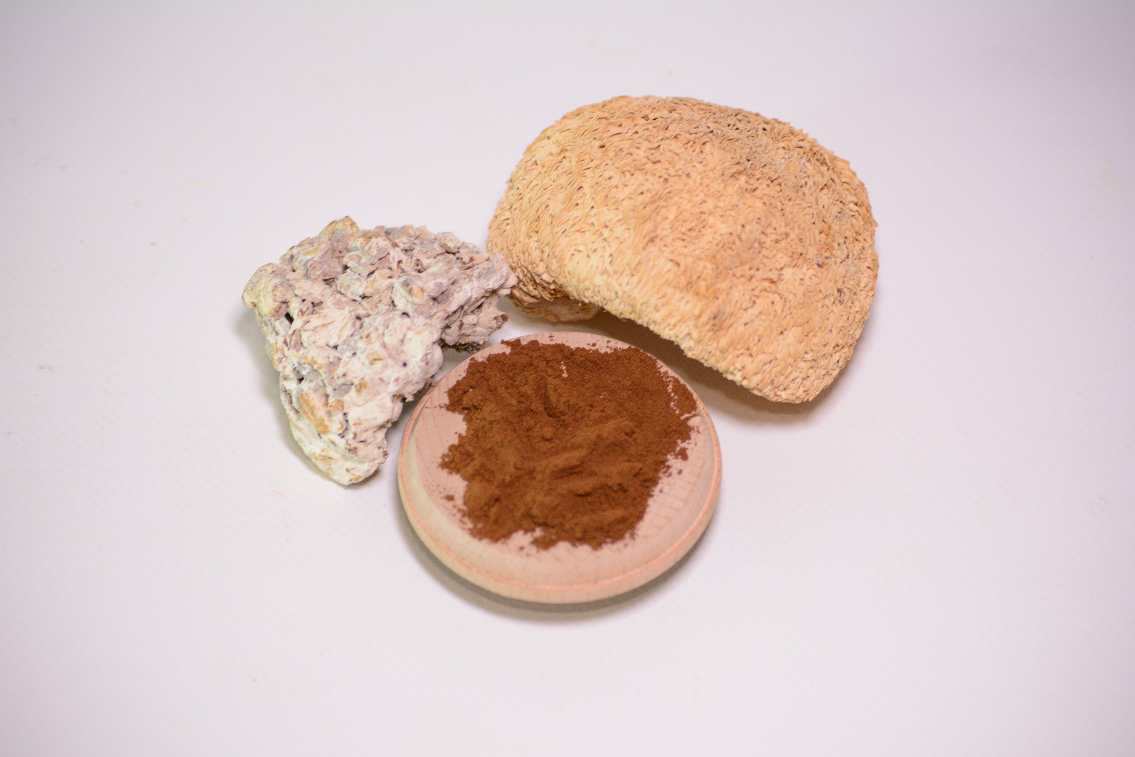 Екстракт міцелію Їжовика гребінчастого 10:1 мелений