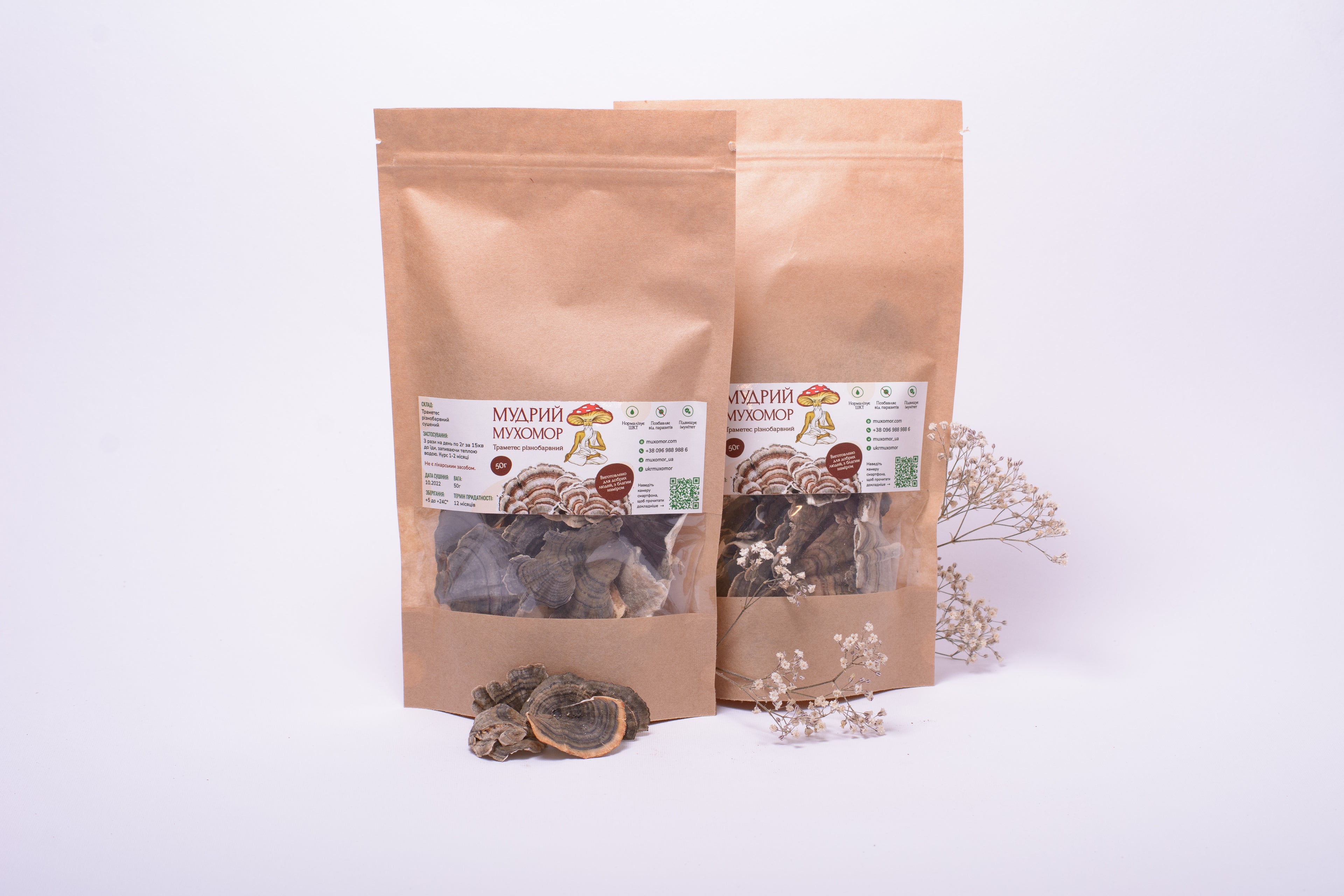 Цілі плодові тіла Траметеса різнобарвного