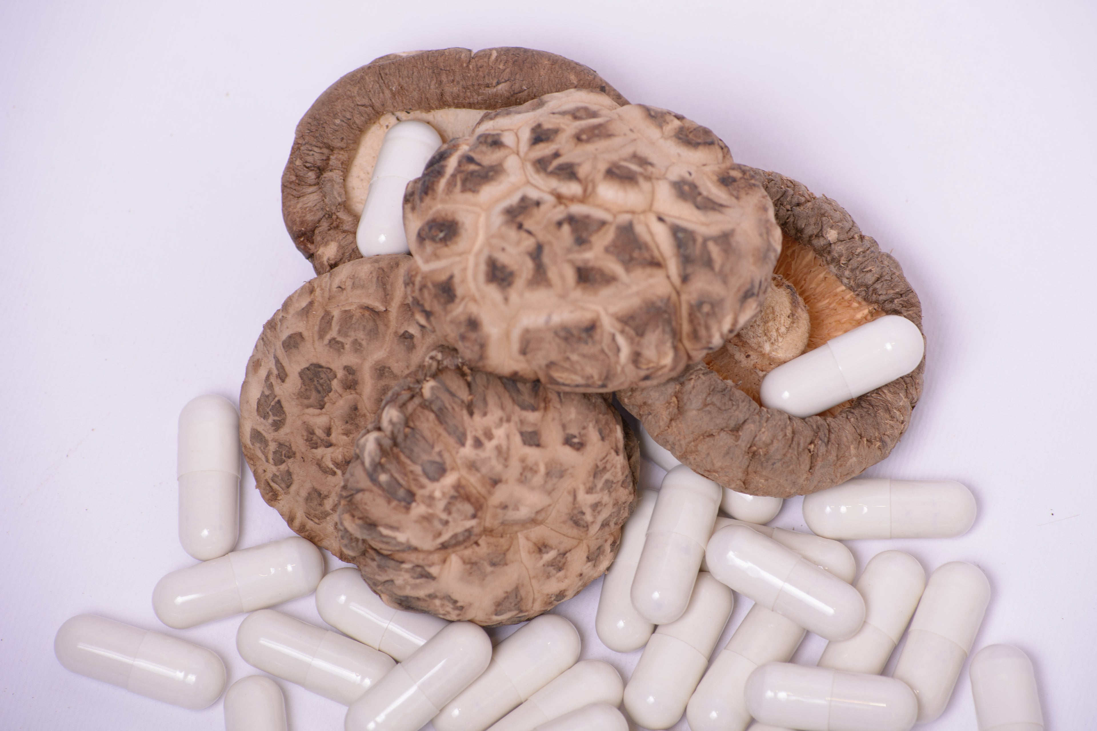 Шиїтаке в капсулах по 0.4 г