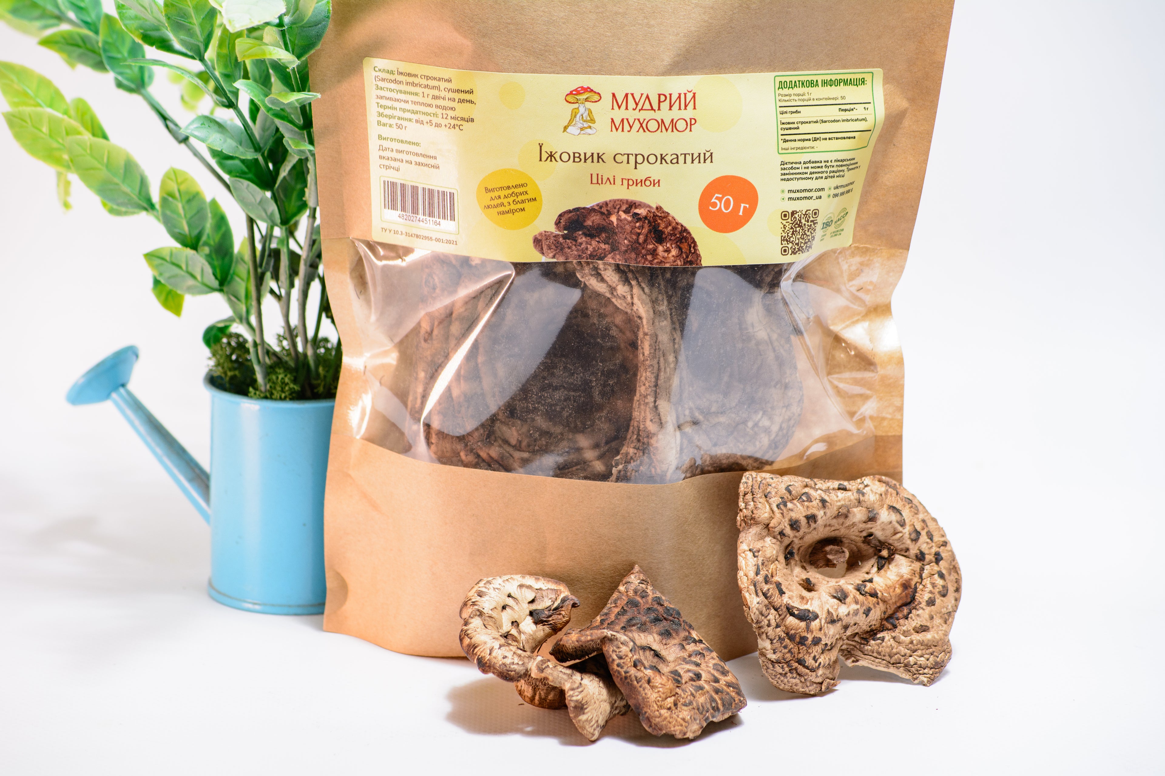 Цілі плодові тіла Їжовика строкатого