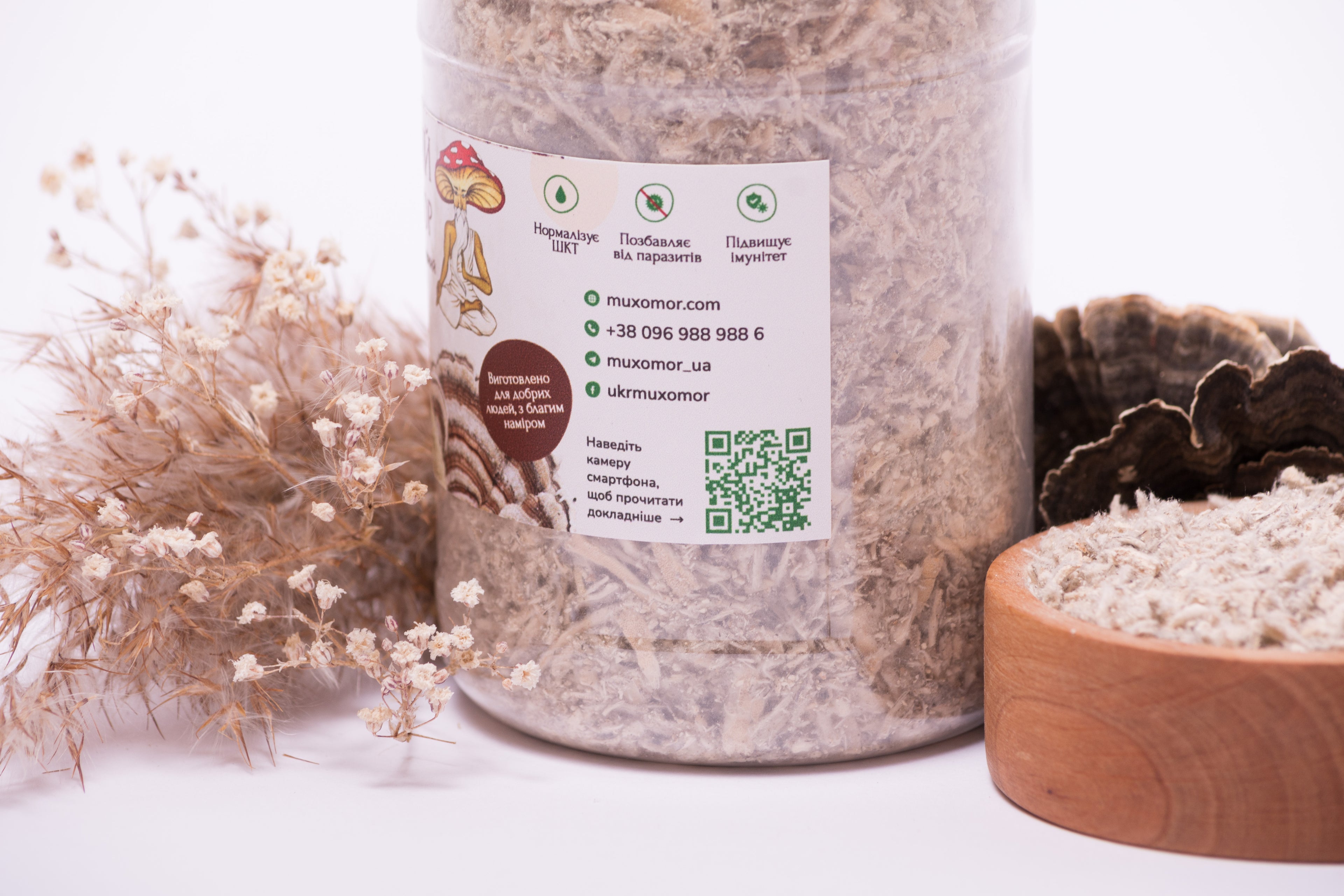 Траметес різнобарвний мелений