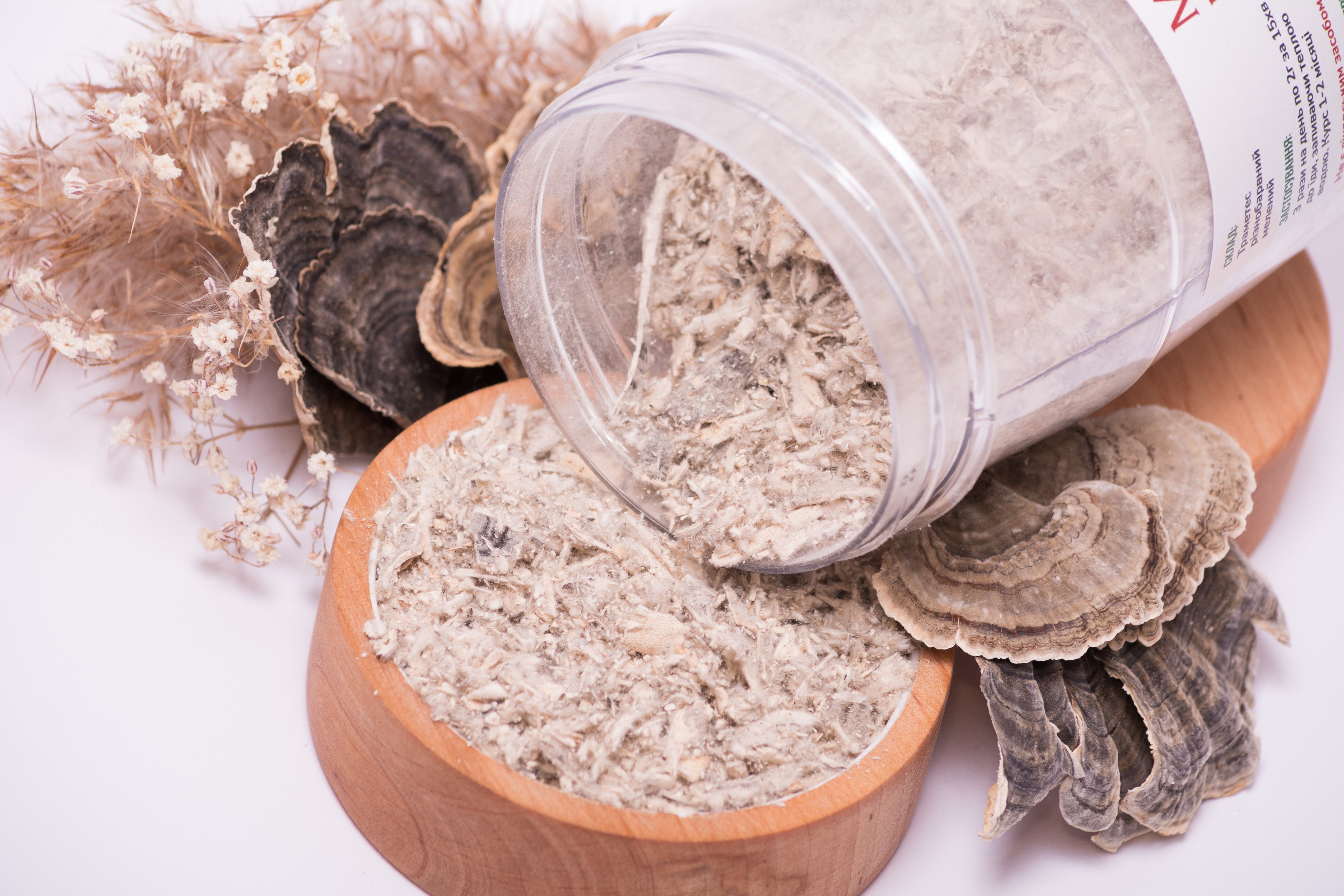 Траметес різнобарвний мелений