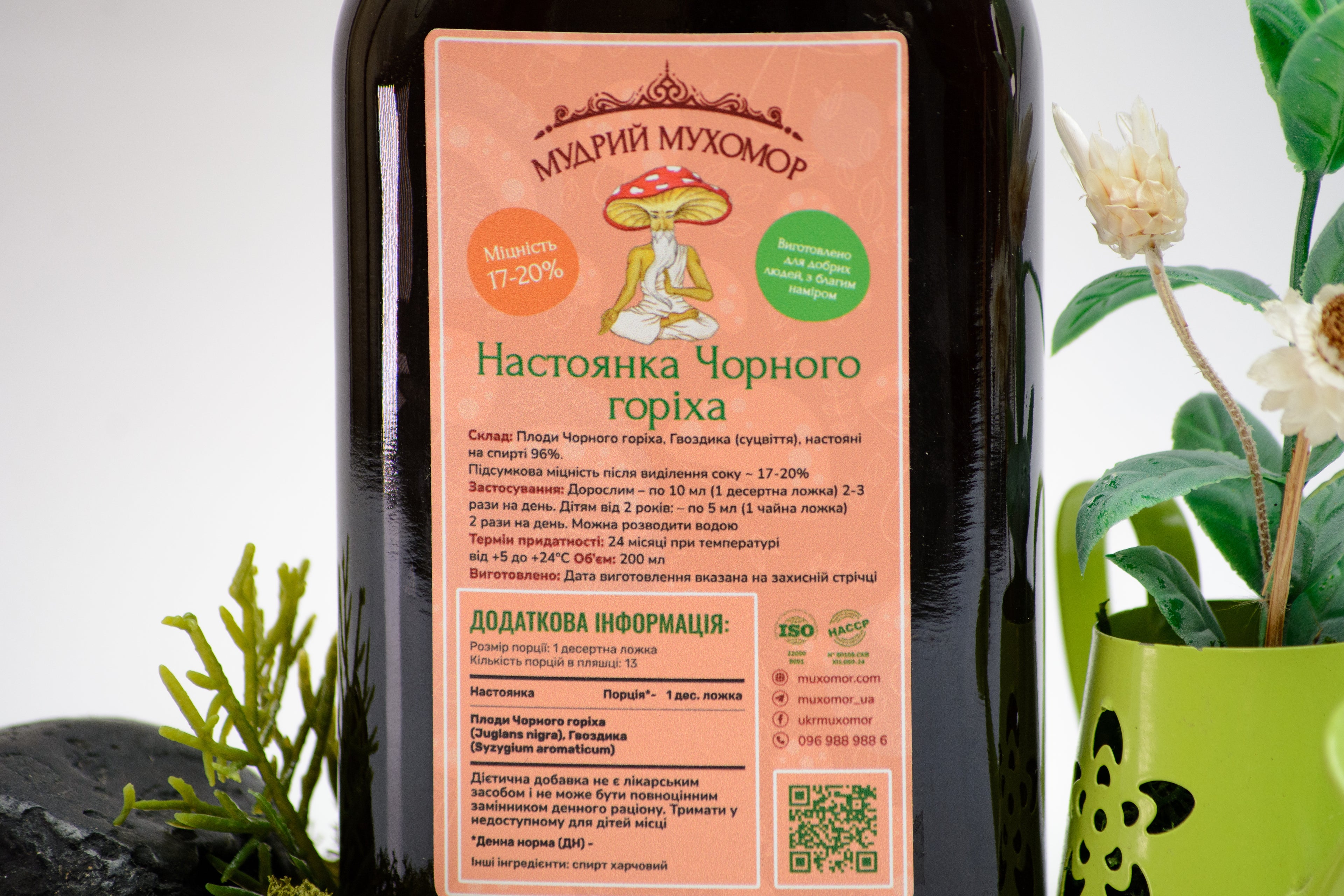 Чорний горіх настоянка