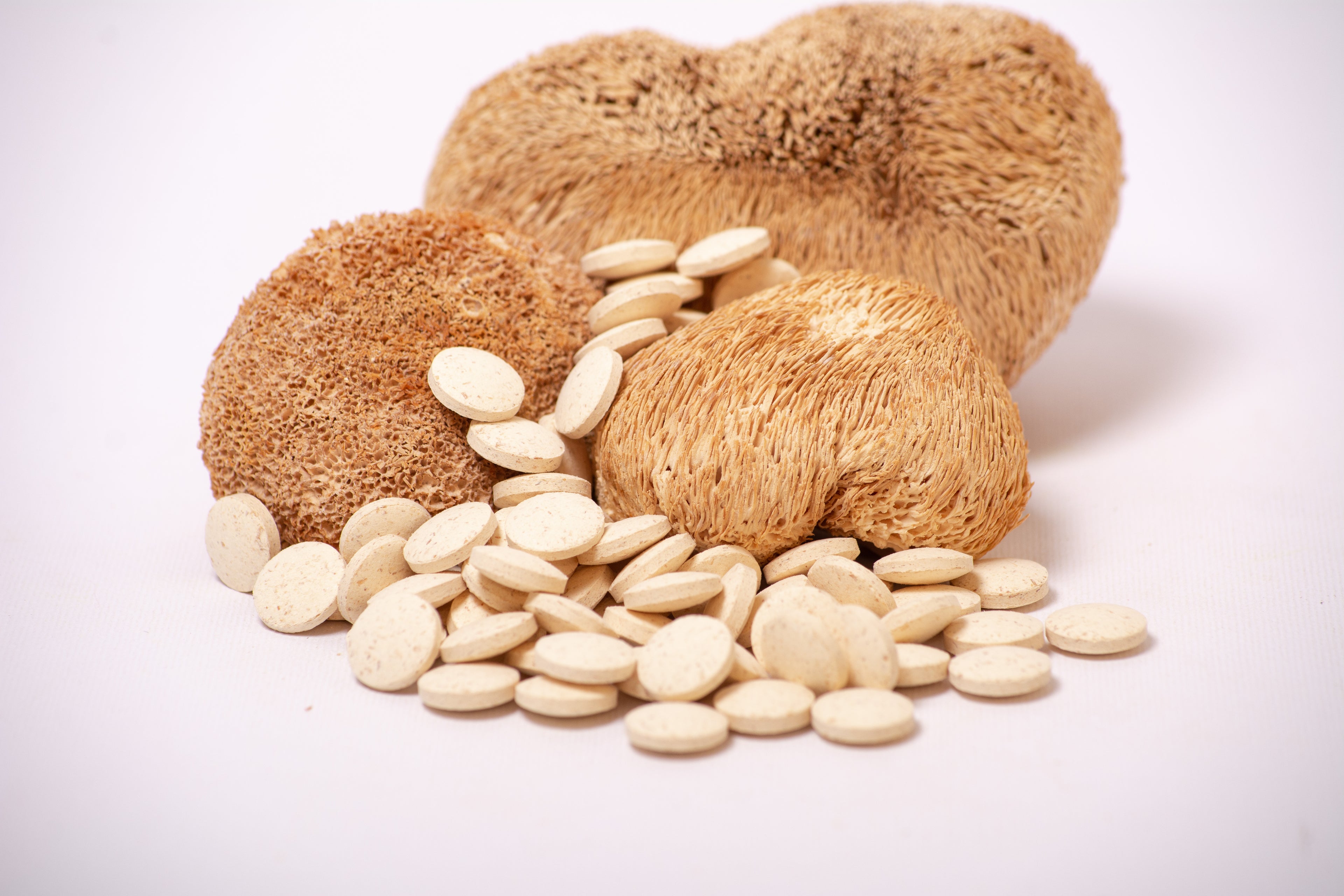 Їжовик гребінчаcтий в пігулках по 0.4 г