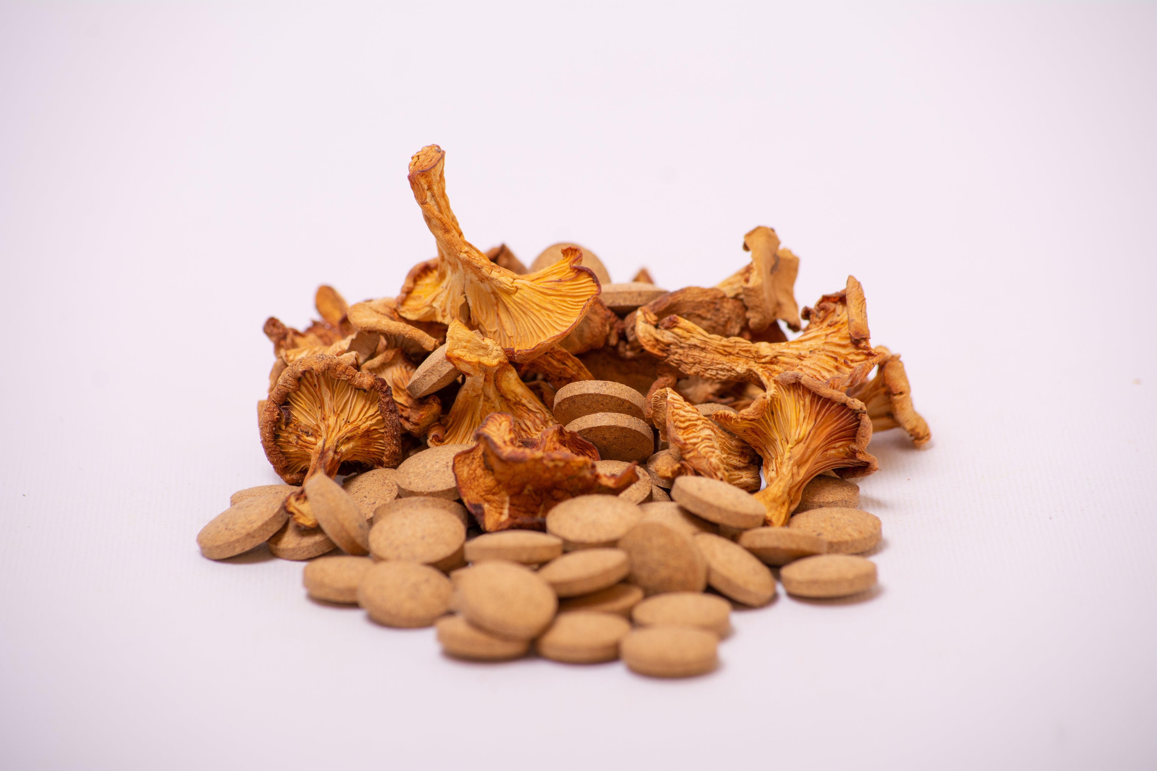 Лисичка справжня в пігулках по 0.4 г