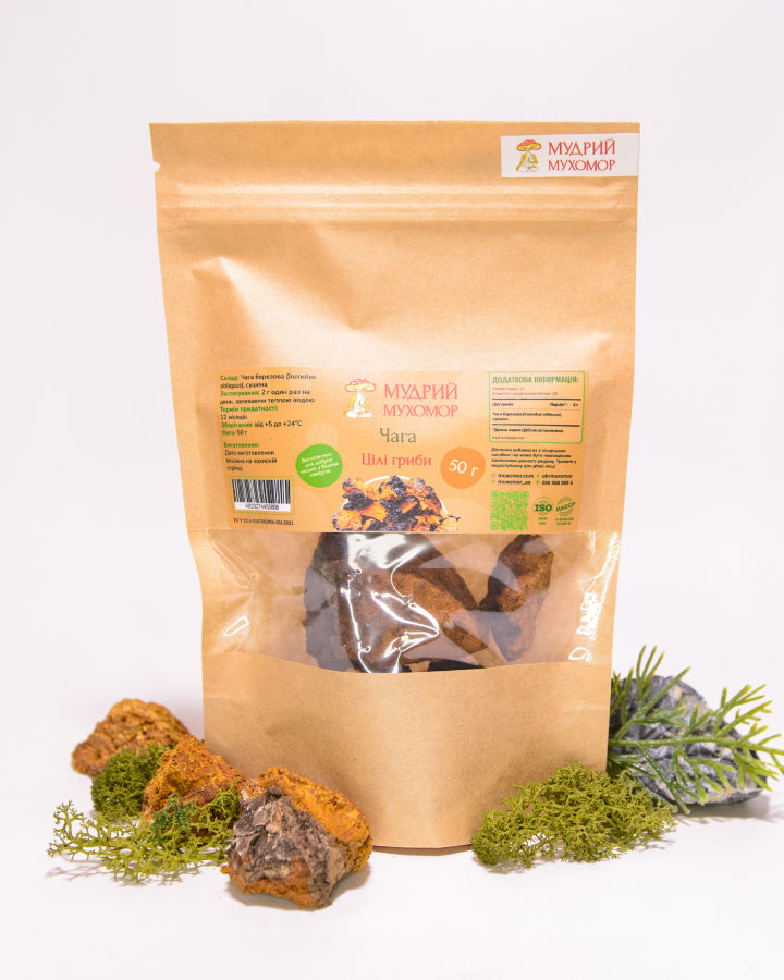 Березова Чага ціла