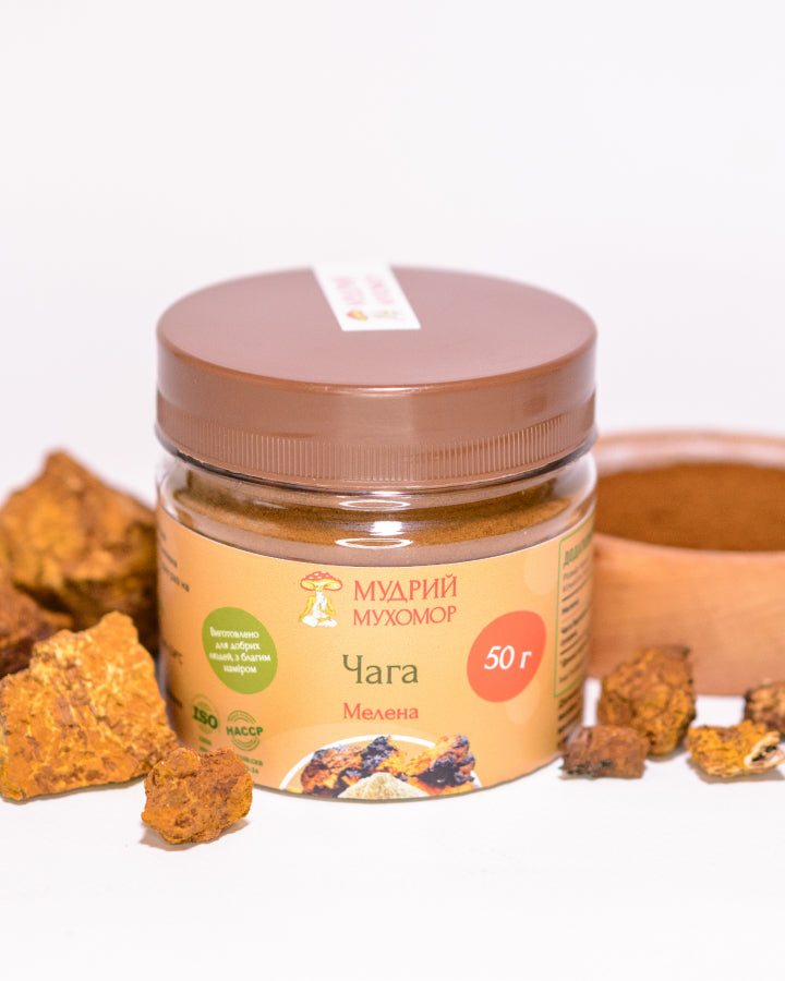 Березова Чага мелена