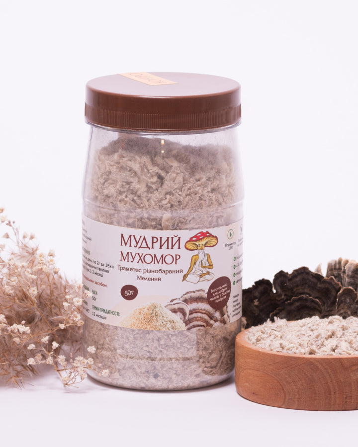 Траметес різнобарвний мелений