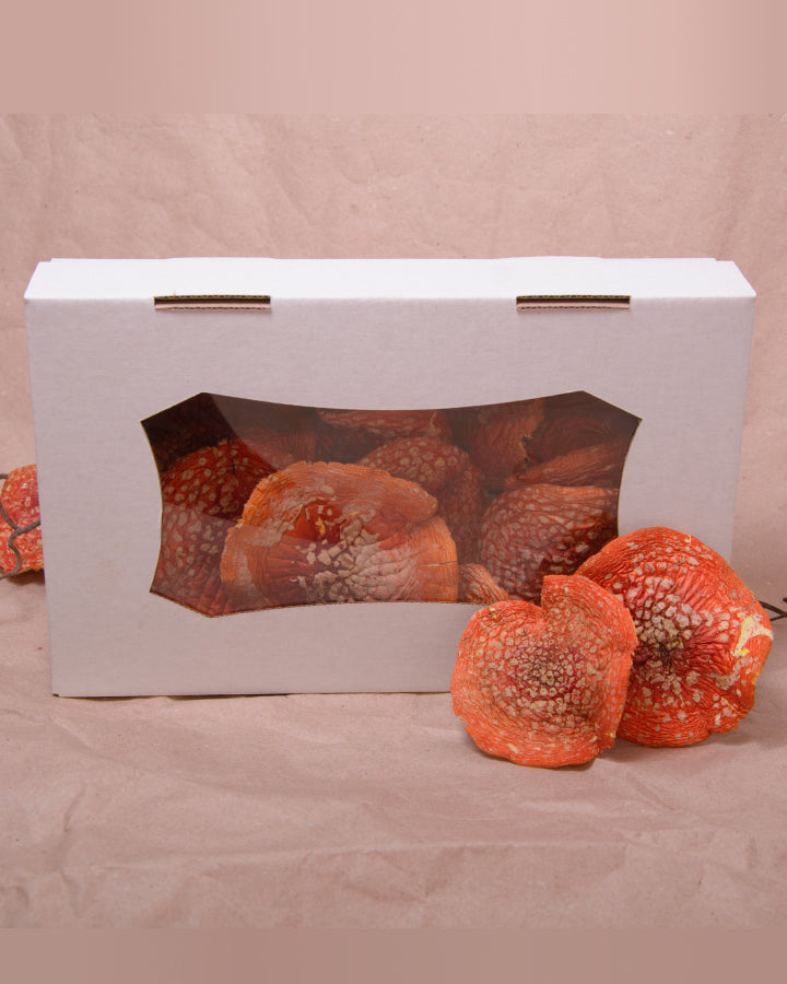 VIP капелюшки Мухомора червоного