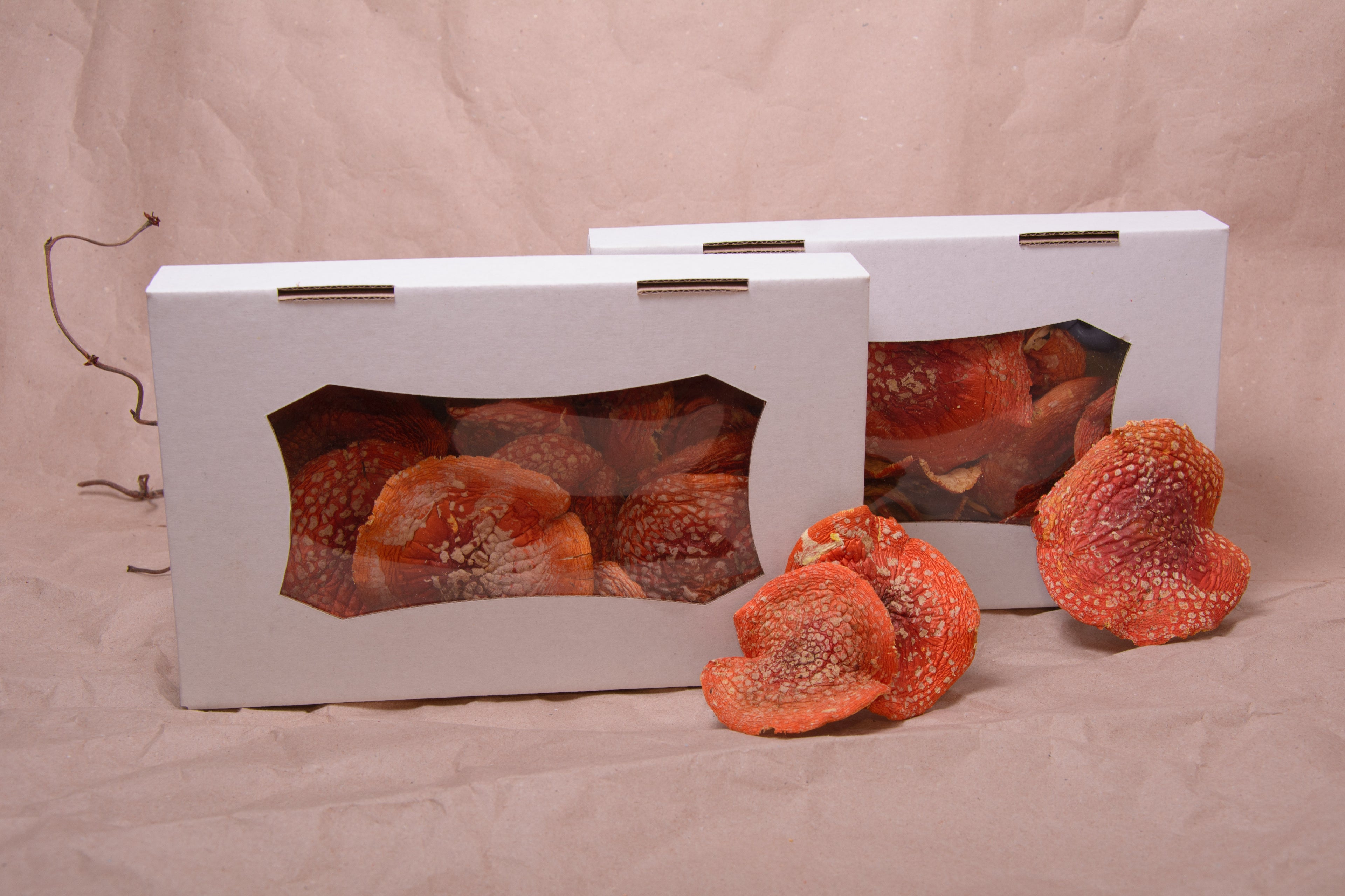 VIP капелюшки Мухомора червоного