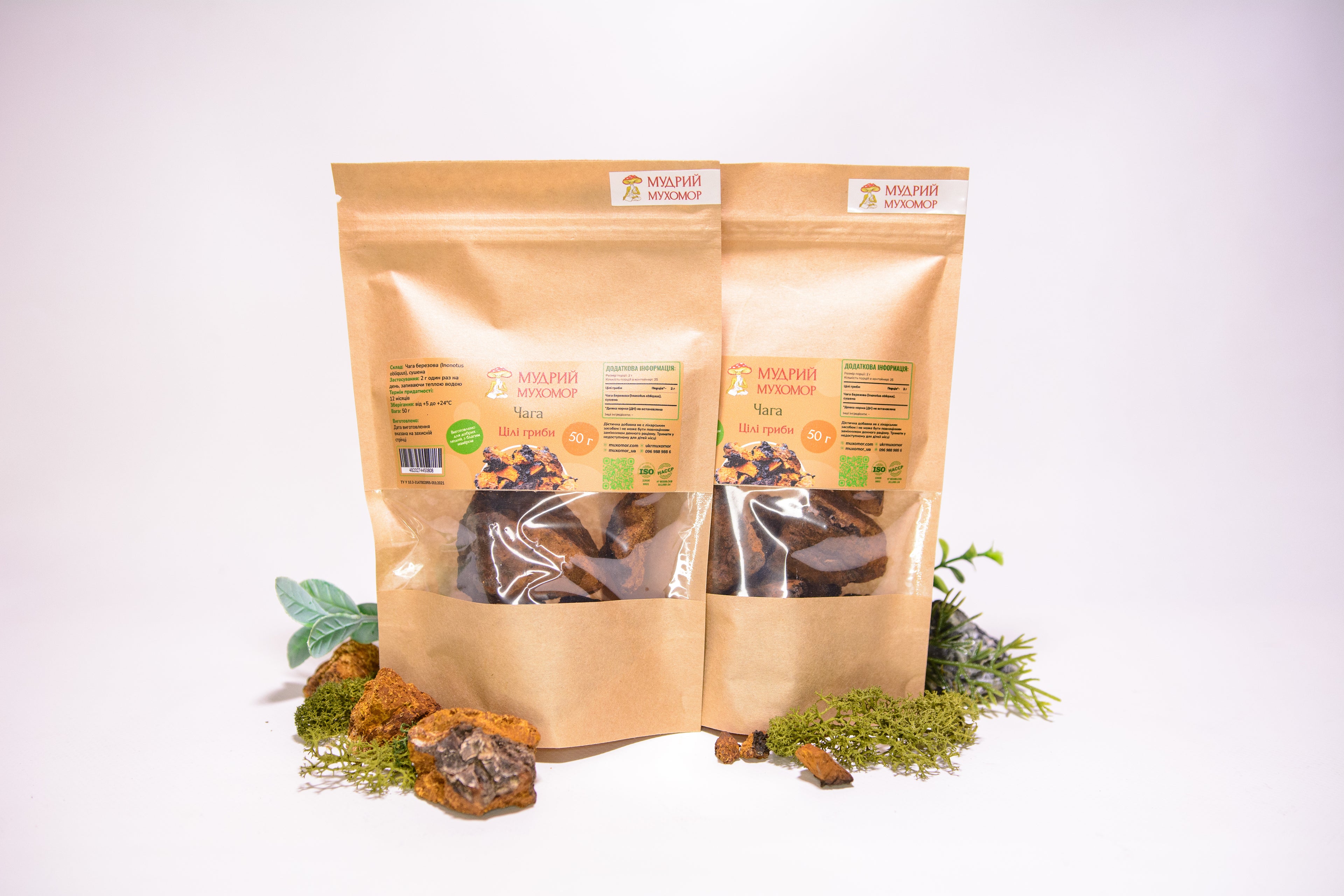 Березова Чага ціла