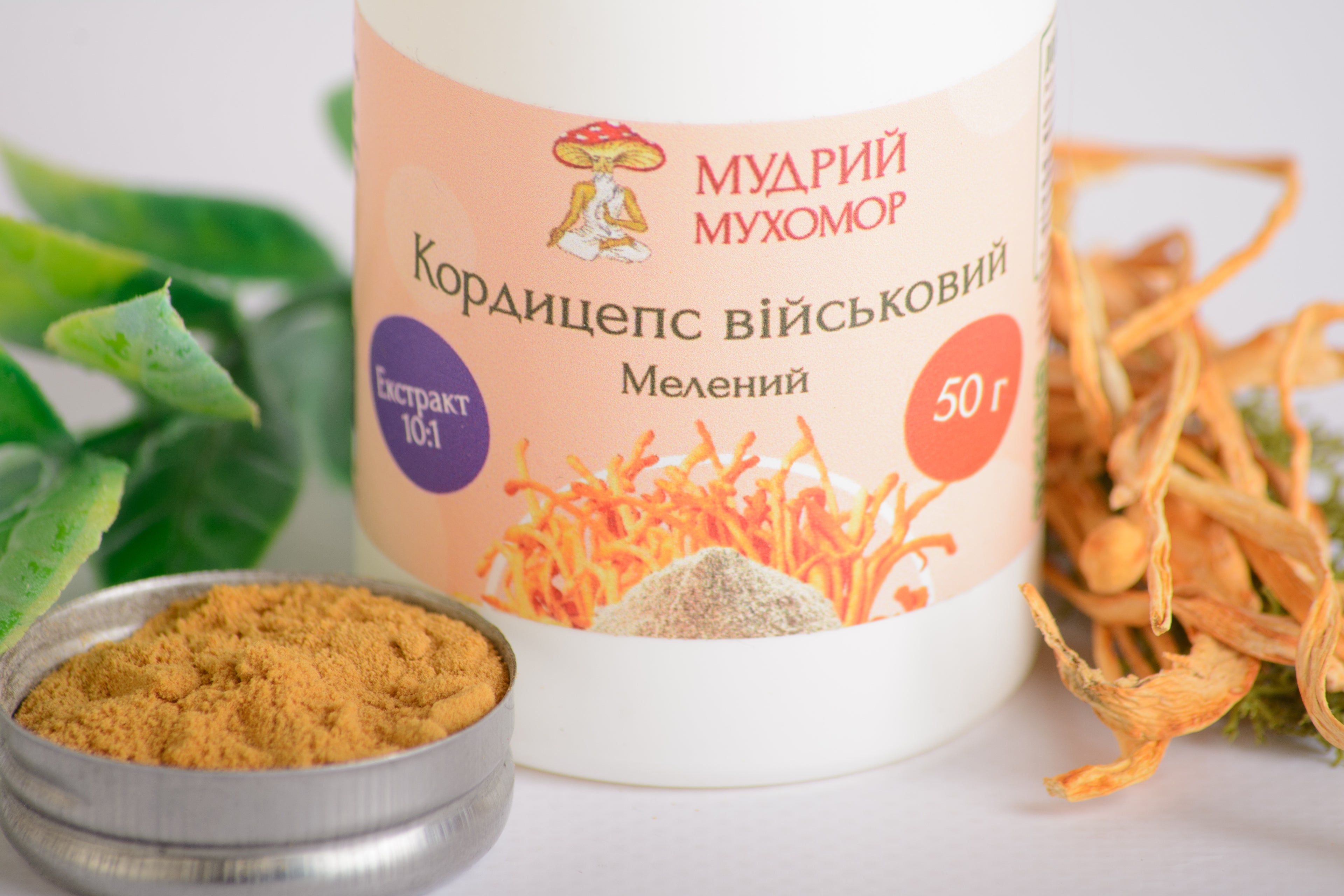 Екстракт Кордицепса військового 10:1 мелений