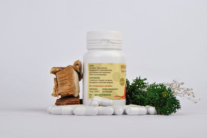 Екстракт Трутовик лакований (Рейші) 10:1 у капсулах по 0.4 г