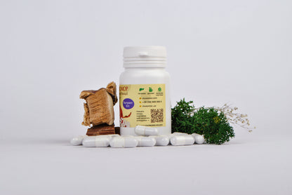 Екстракт Трутовик лакований (Рейші) 10:1 у капсулах по 0.4 г