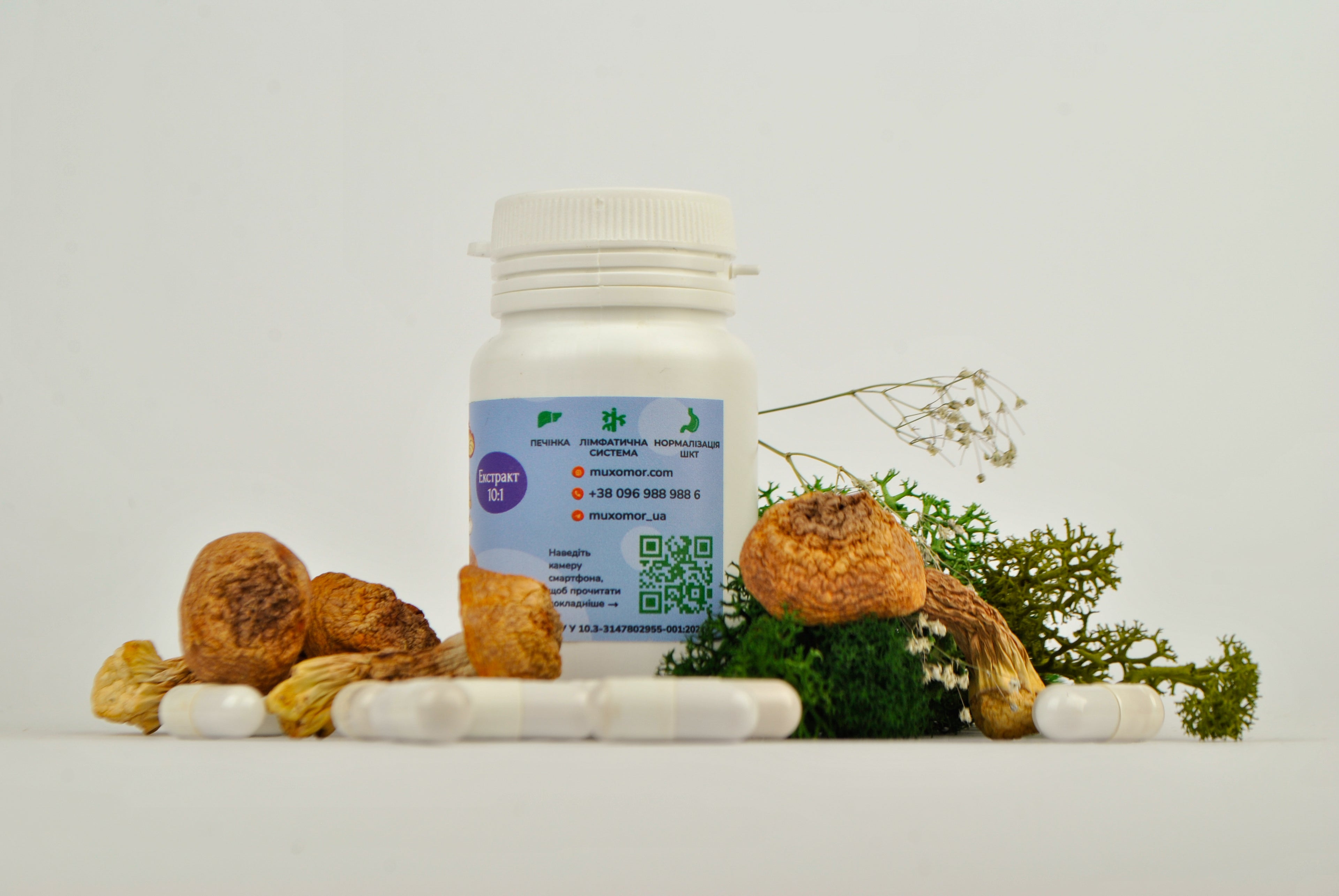 Екстракт Агаріка бразильського 10:1 в капсулах по 0.5 г