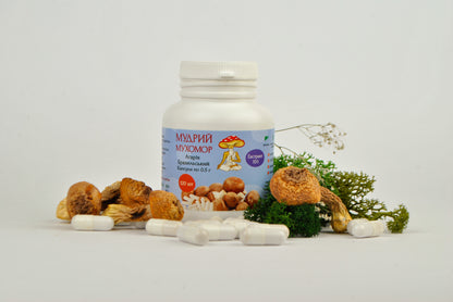 Екстракт Агаріка бразильського 10:1 в капсулах по 0.5 г