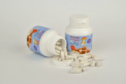 Екстракт Агаріка бразильського 10:1 в капсулах по 0.5 г