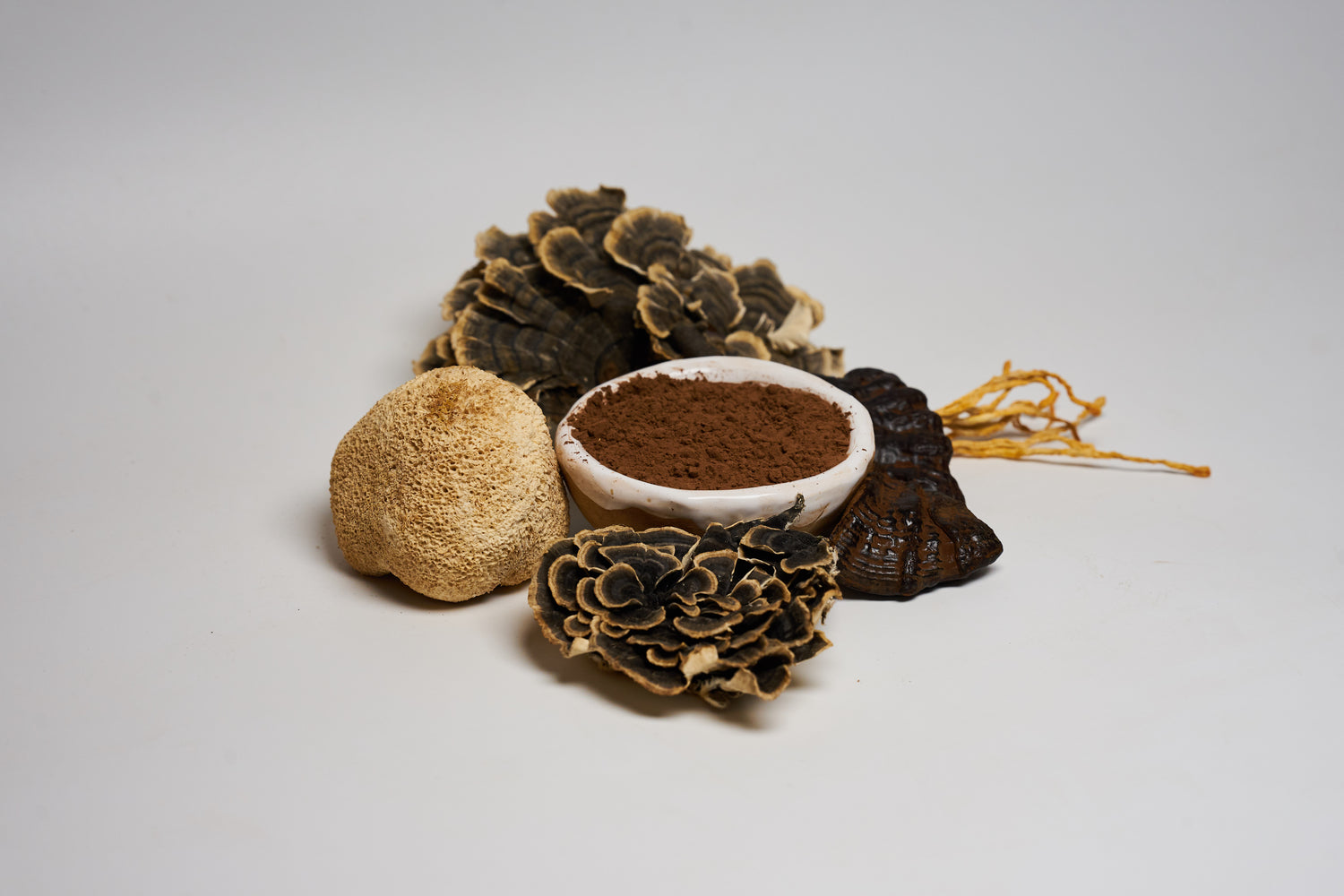 Грибне какао