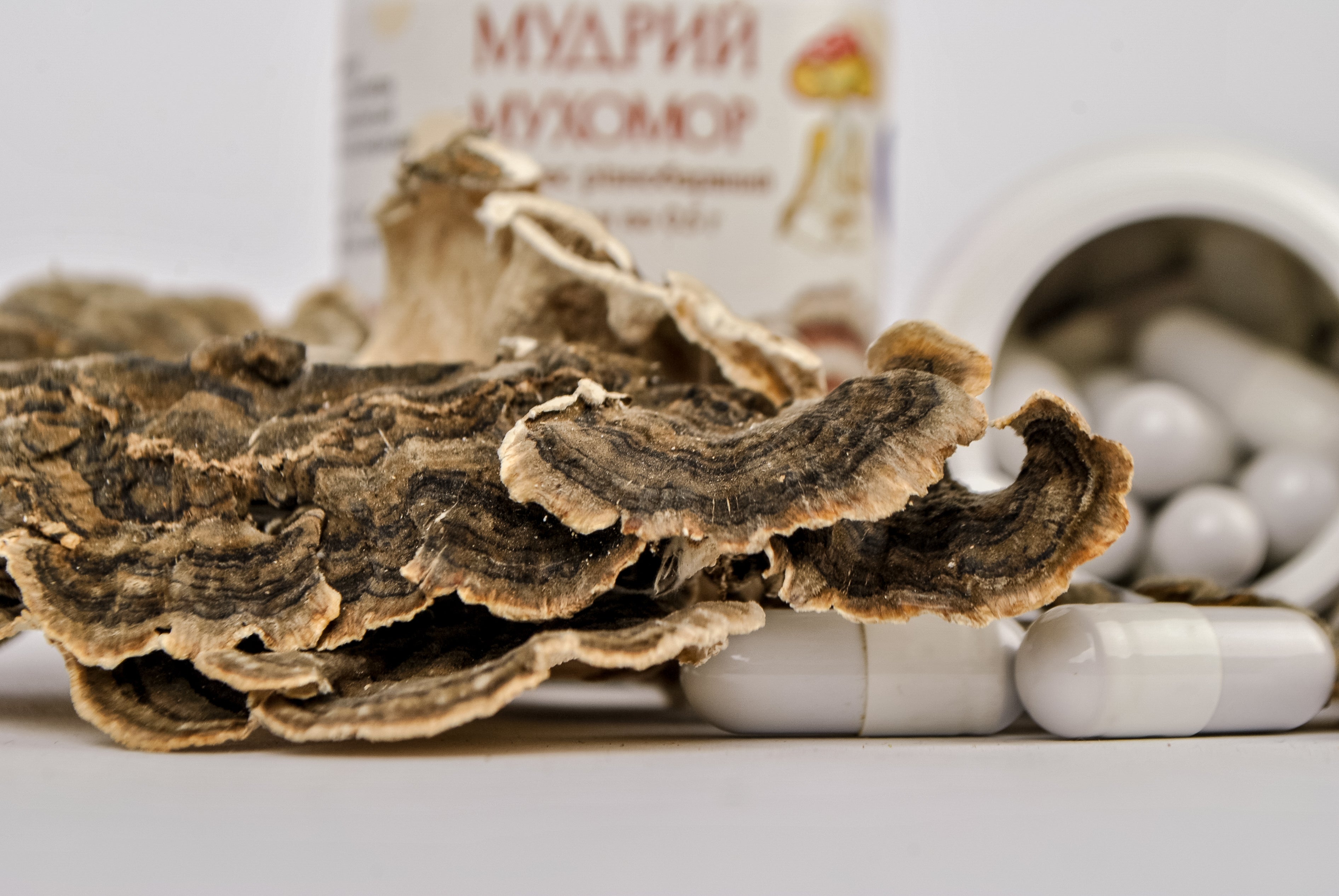 Екстракт Траметеса різнобарвного 10:1 у капсулах по 0.5 г