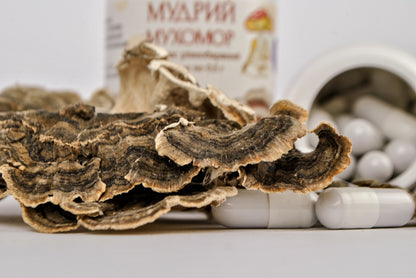 Екстракт Траметеса різнобарвного 10:1 у капсулах по 0.5 г