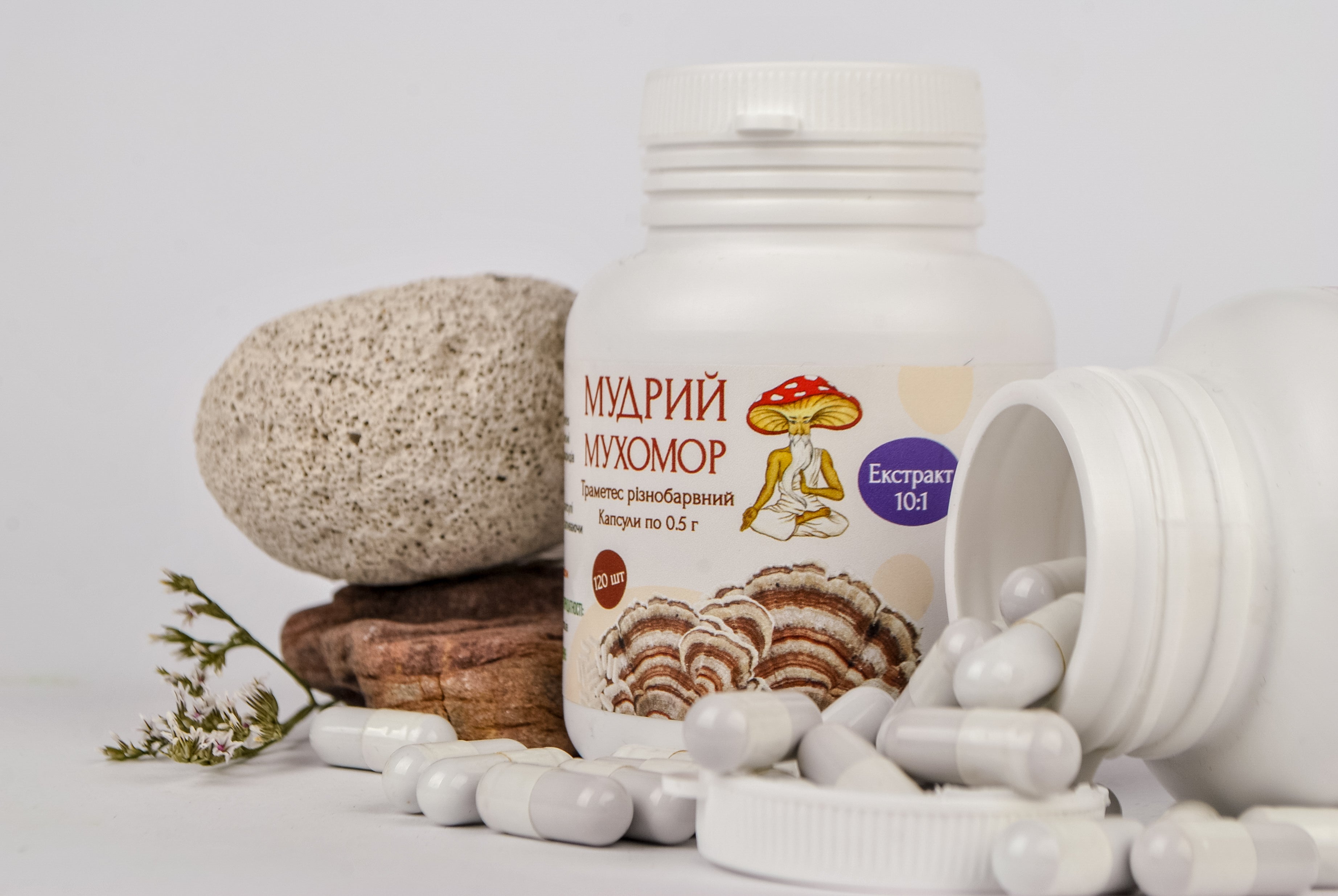 Екстракт Траметеса різнобарвного 10:1 у капсулах по 0.5 г