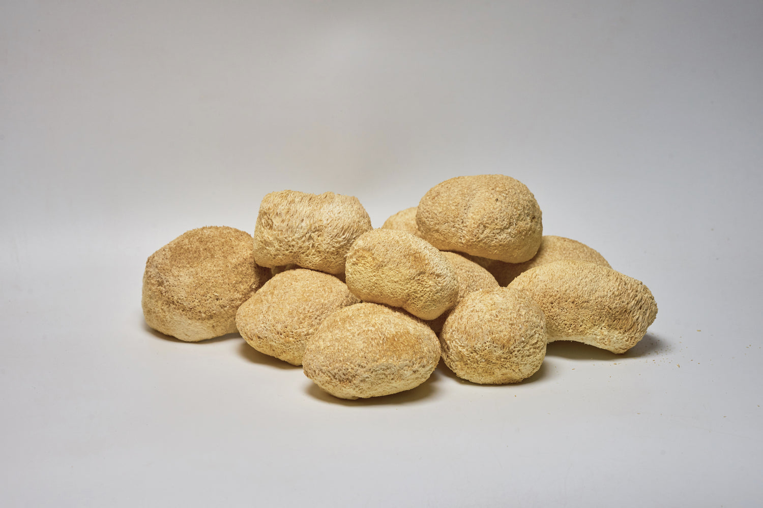 Цілі плодові тіла Їжовика гребінчастого