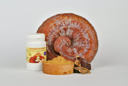 Екстракт Трутовик лакований (Рейші) 10:1 мелений