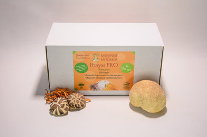 Розум PRO — набір із трьох баночок