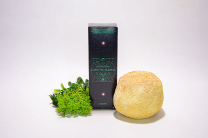 Рідкий екстракт Їжовика гребінчастого