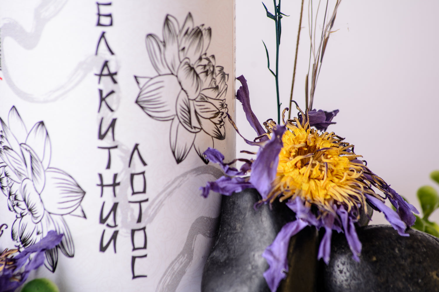 Блакитний лотос сушені суцвіття