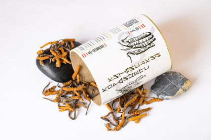 Цілі плодові тіла Кордицепса китайського Непал